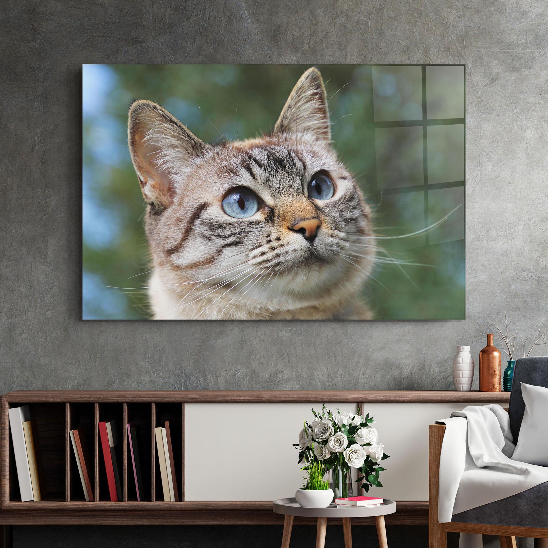 Obraz na Szkle Blue Eyes Cutie mockup 2