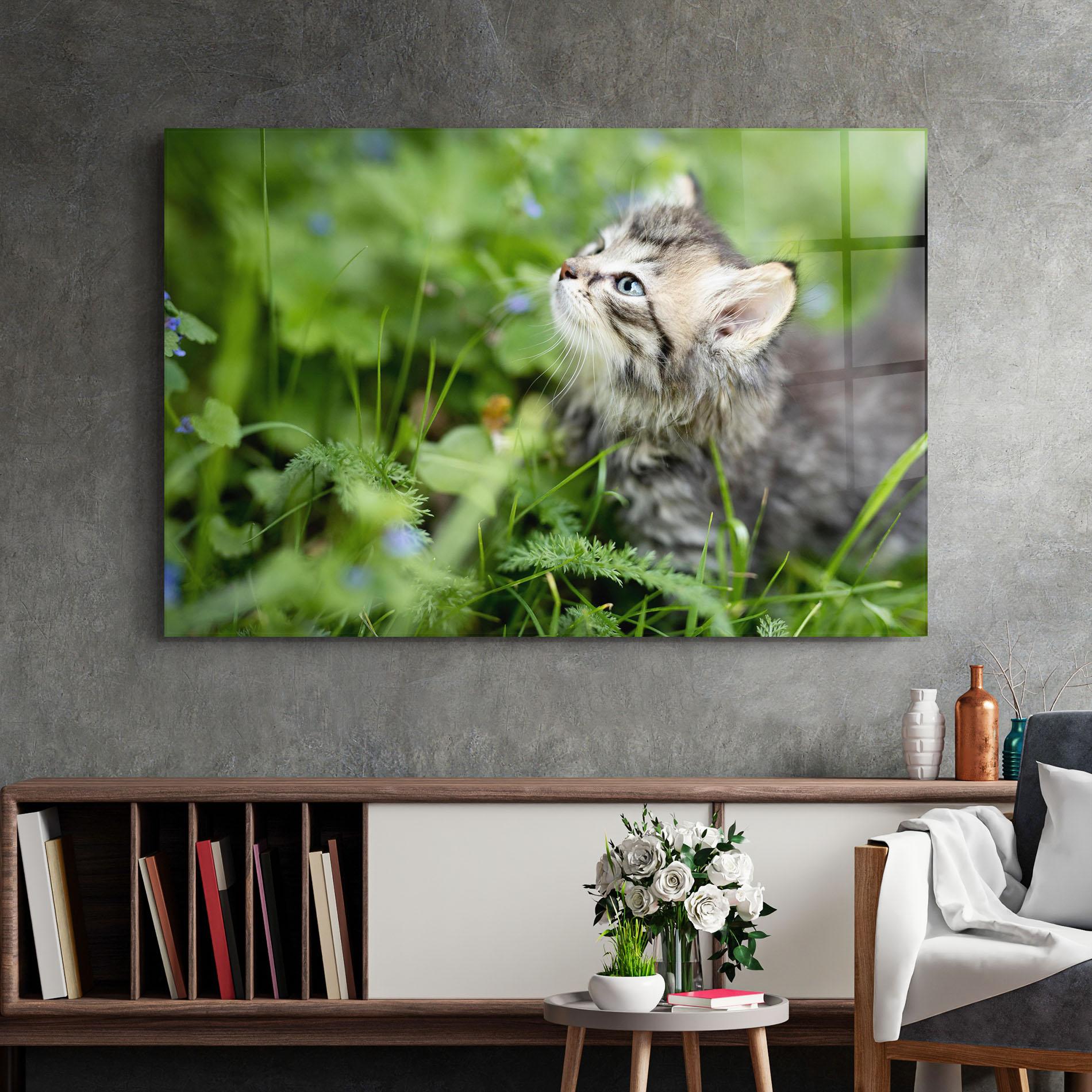 Obraz na Szkle Brown Baby Cat mockup 2