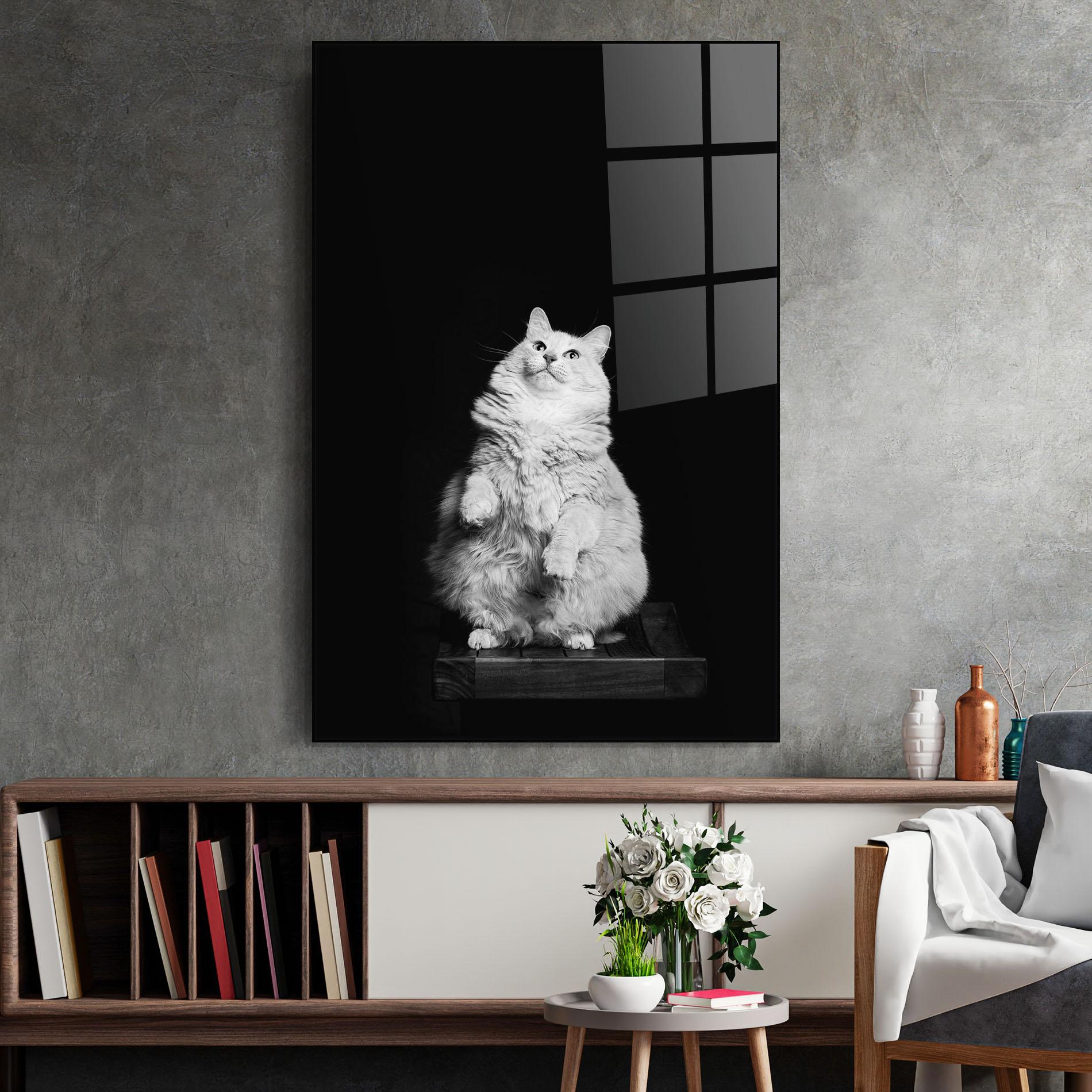 Obraz na Szkle Big Fluffy Cat mockup 2
