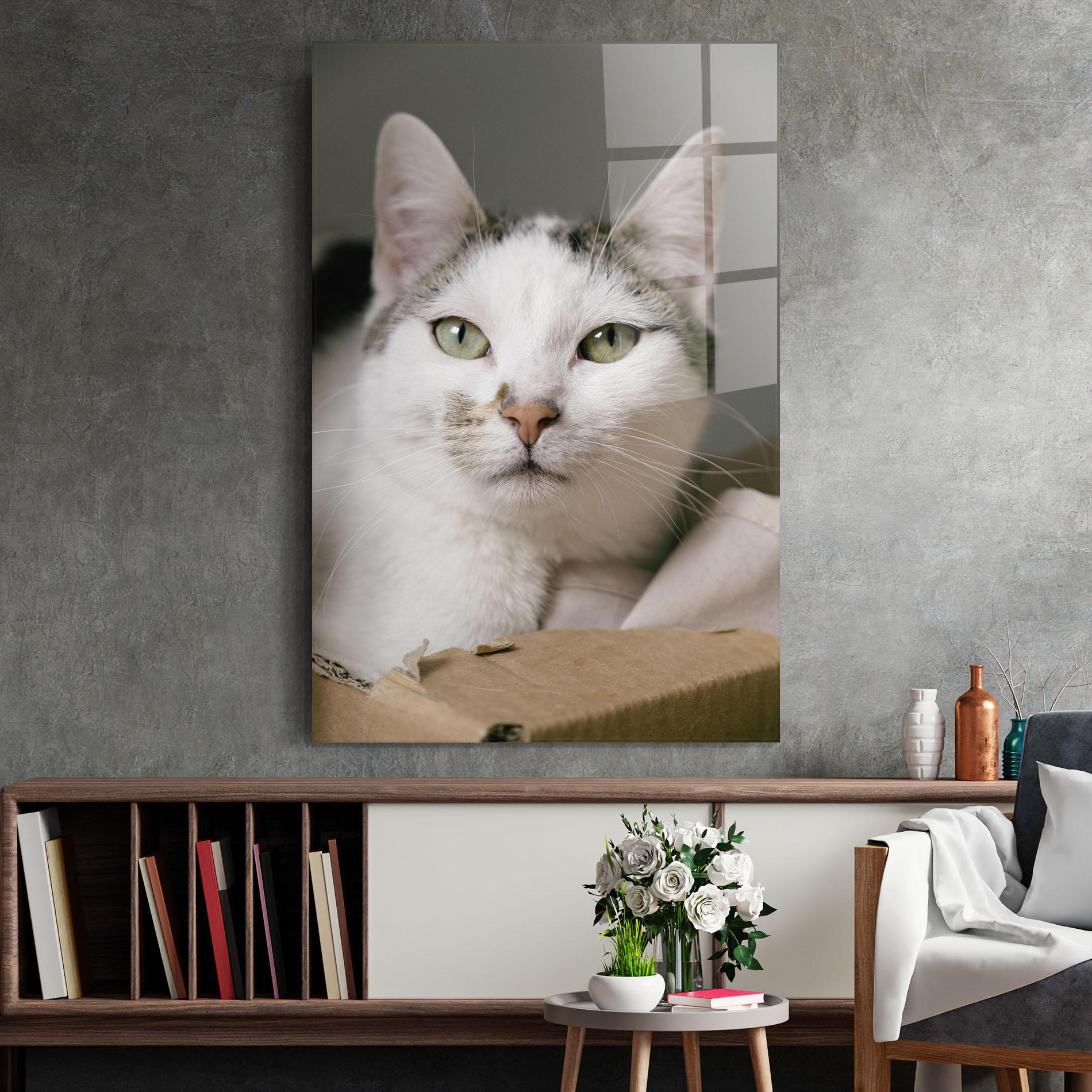 Obraz na Szkle Big Sleepy Cat mockup 2