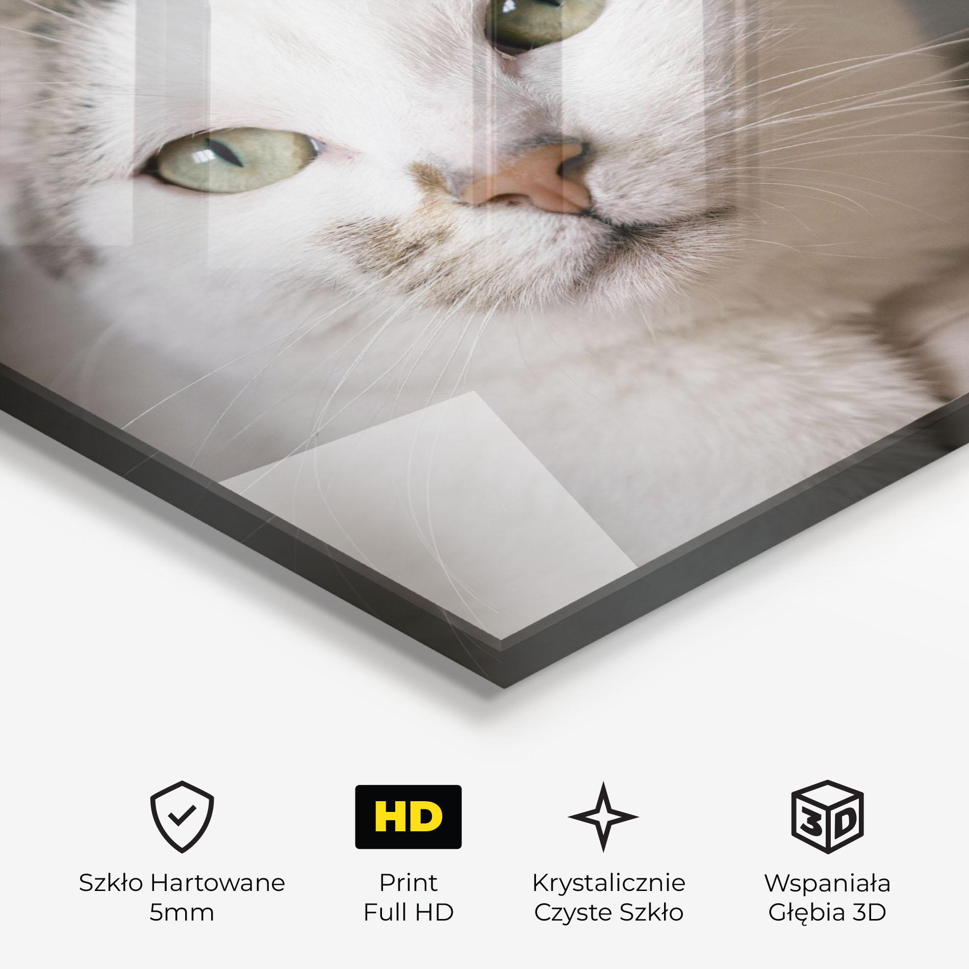 Obraz na Szkle Big Sleepy Cat mockup 3