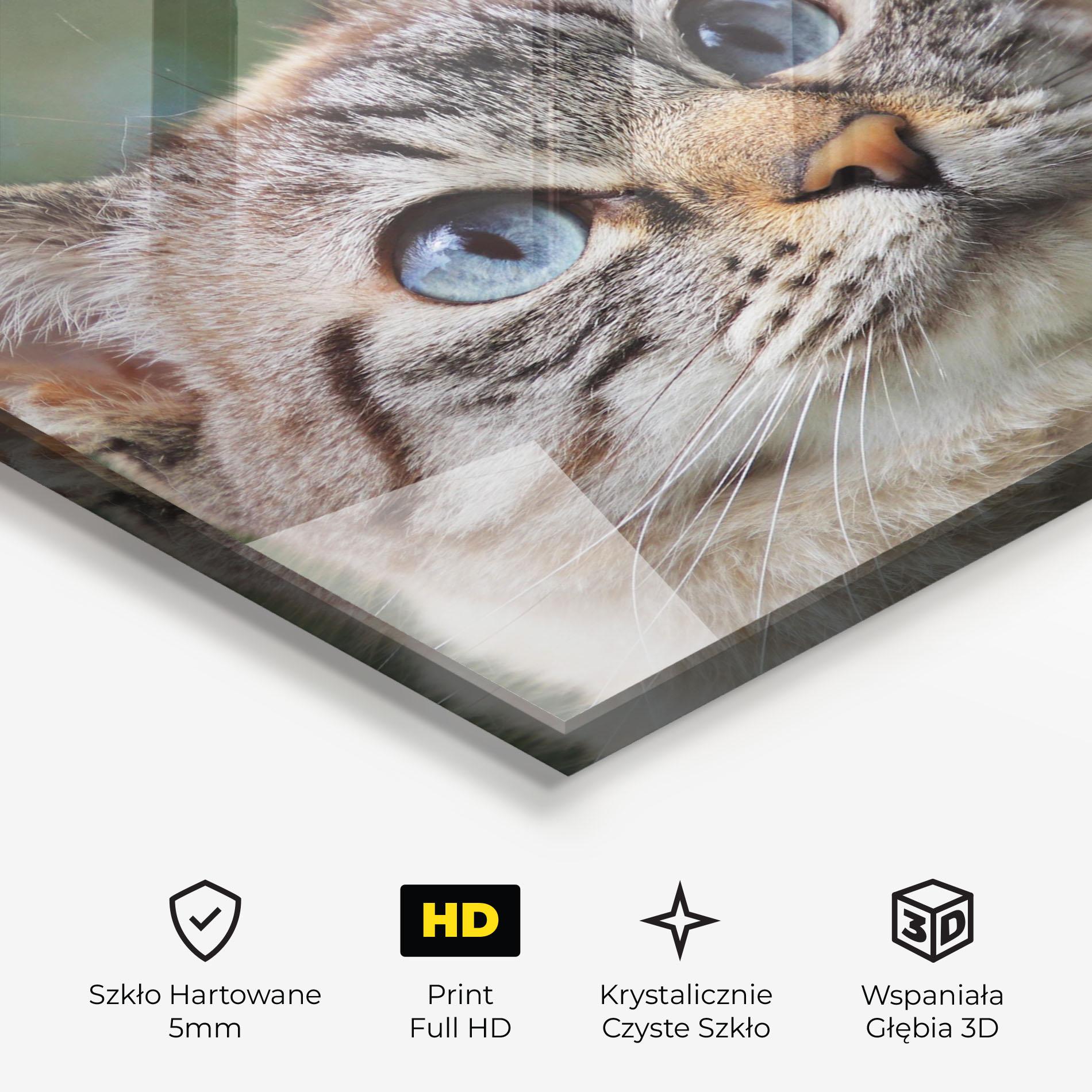 Obraz na Szkle Blue Eyes Cutie mockup 3