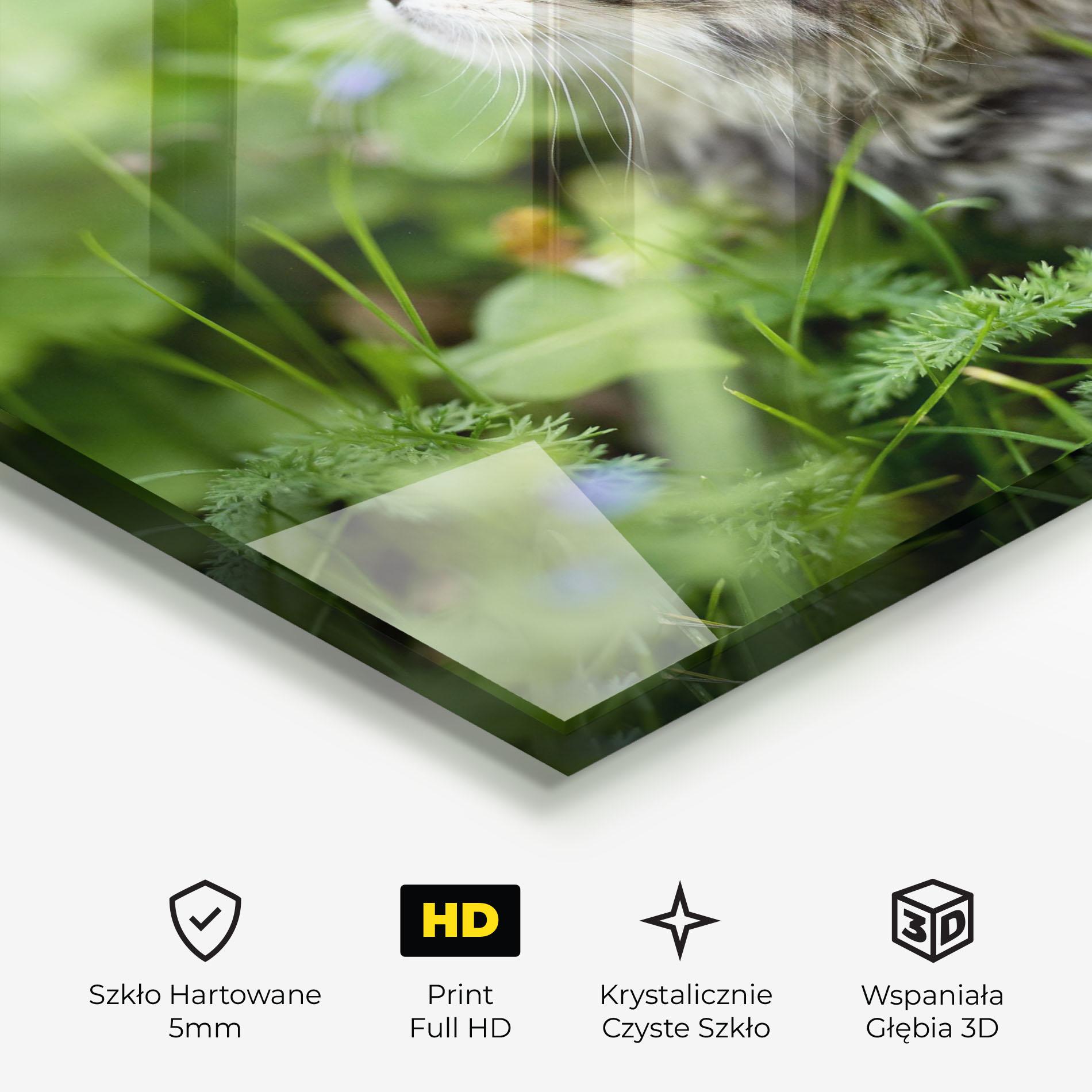 Obraz na Szkle Brown Baby Cat mockup 3