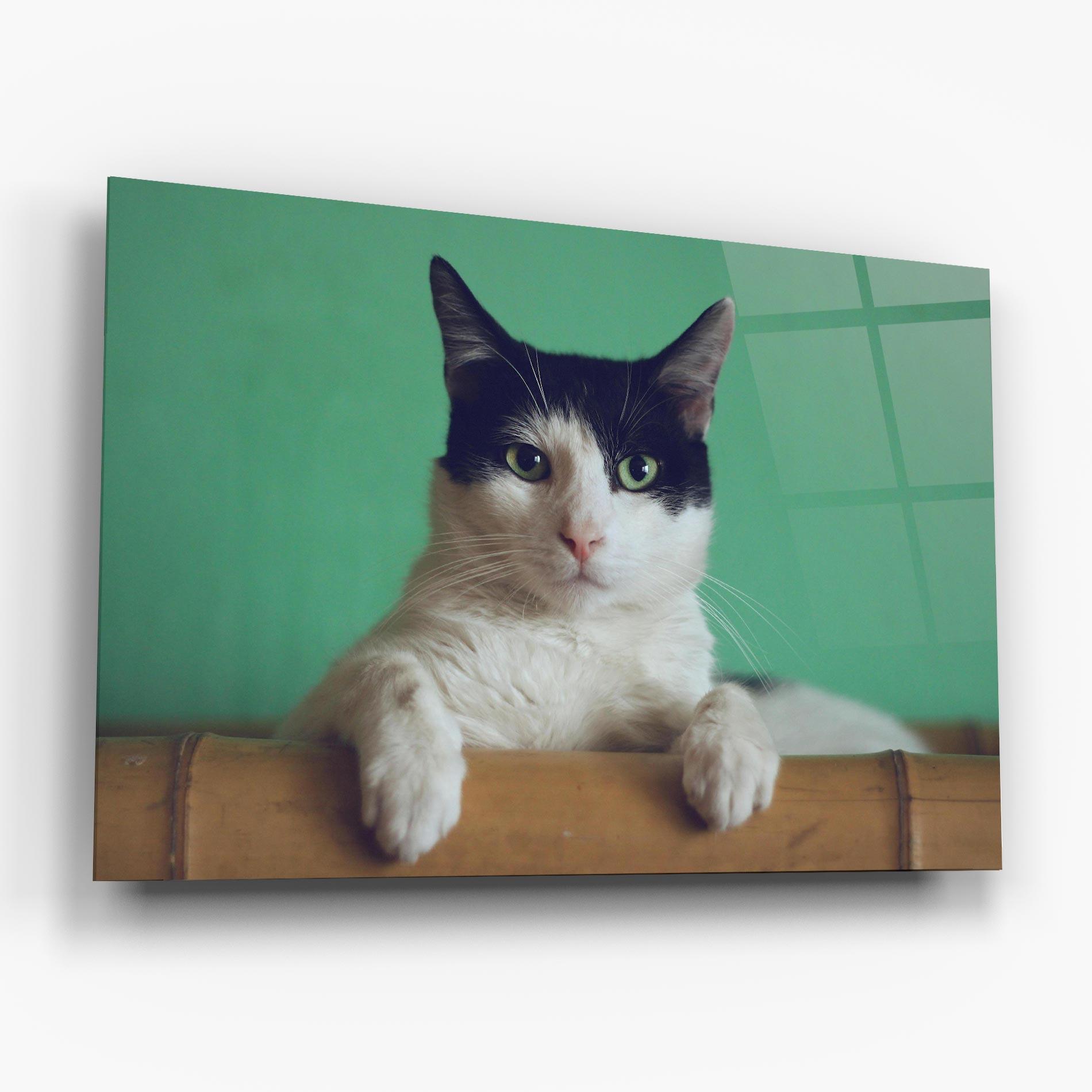 Obraz na Szkle Black White Cat mockup 6