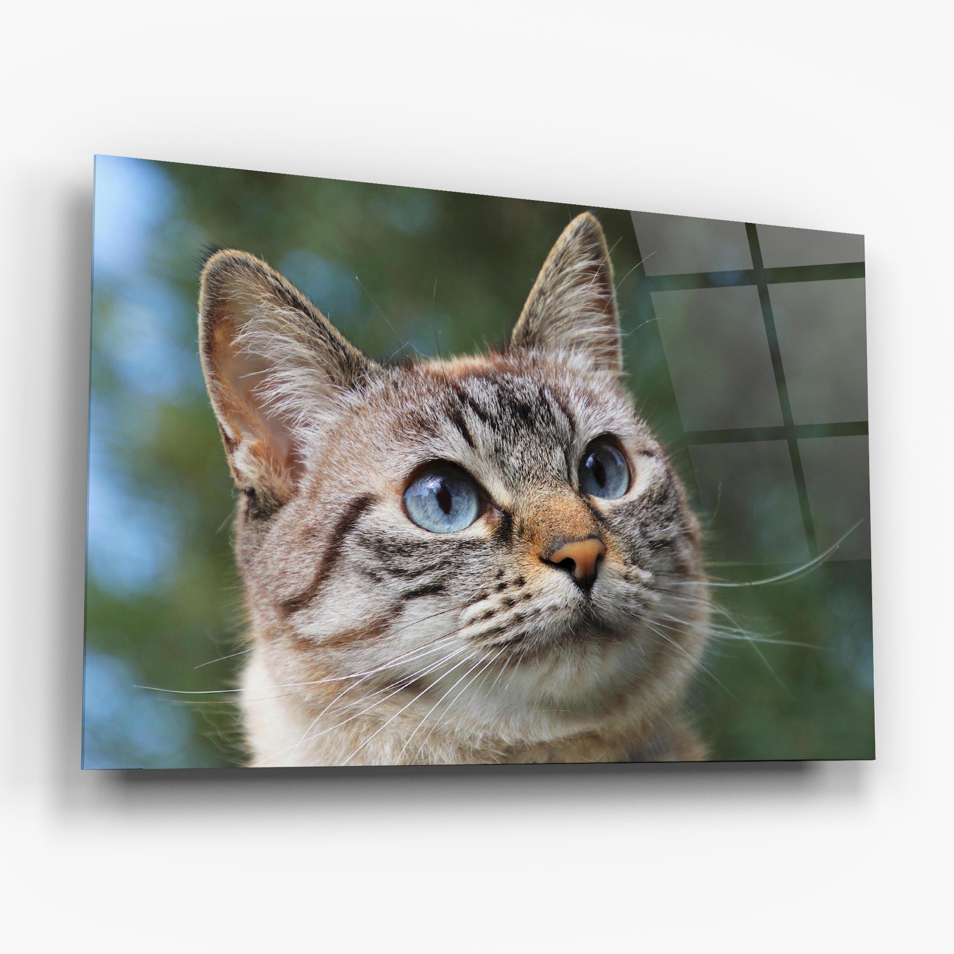 Obraz na Szkle Blue Eyes Cutie mockup 6