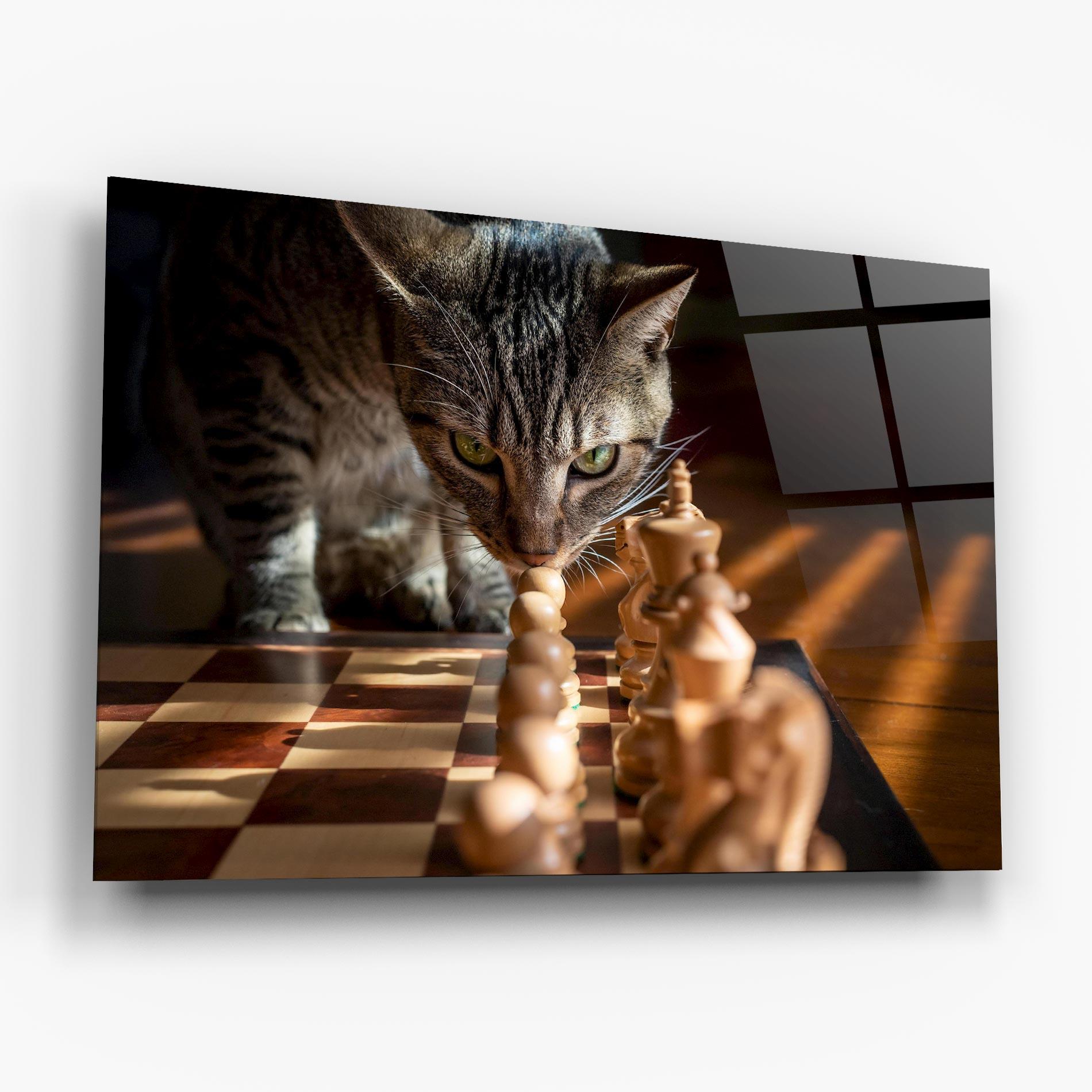 Obraz na Szkle Chess Cat mockup 6