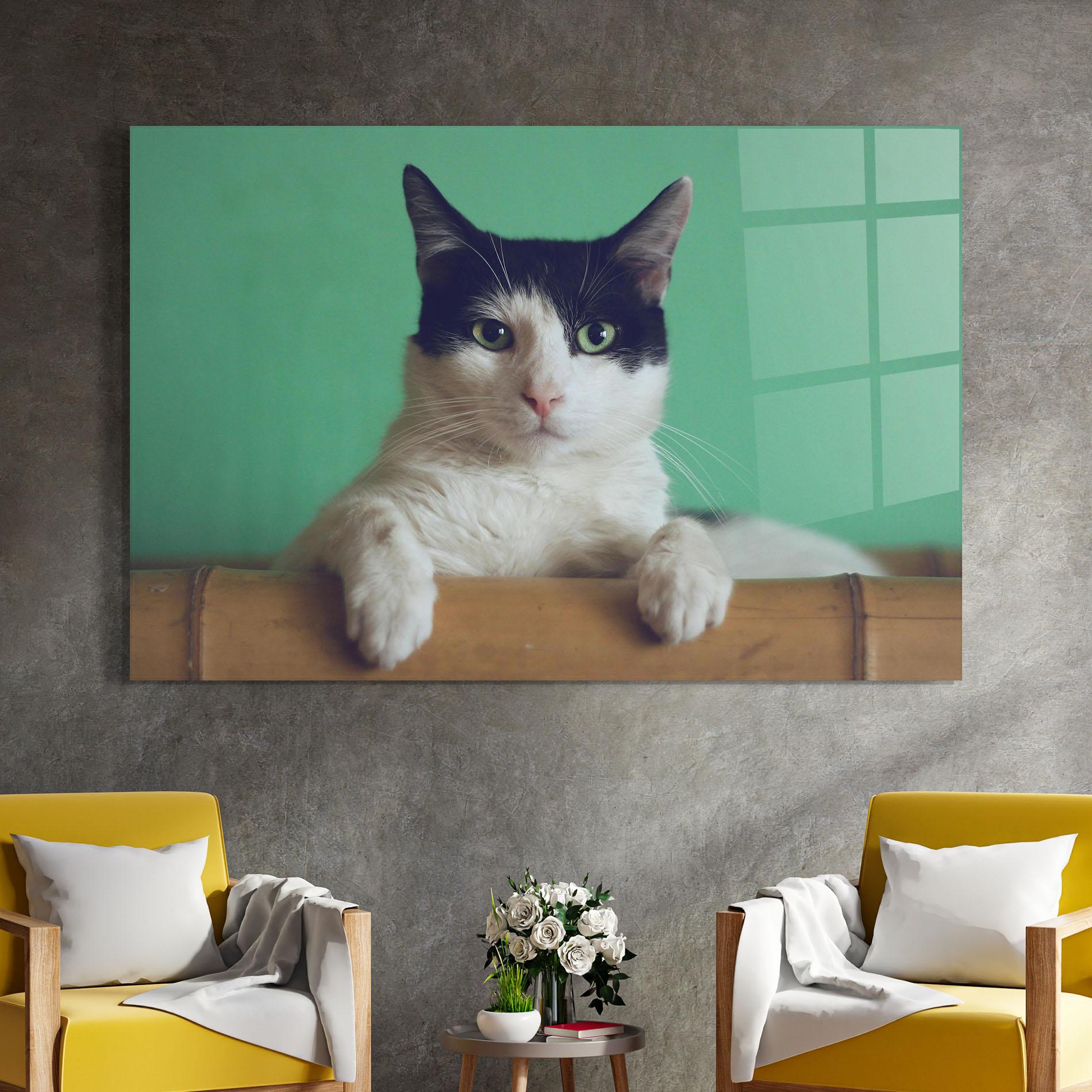 Obraz na Szkle Black White Cat mockup 4