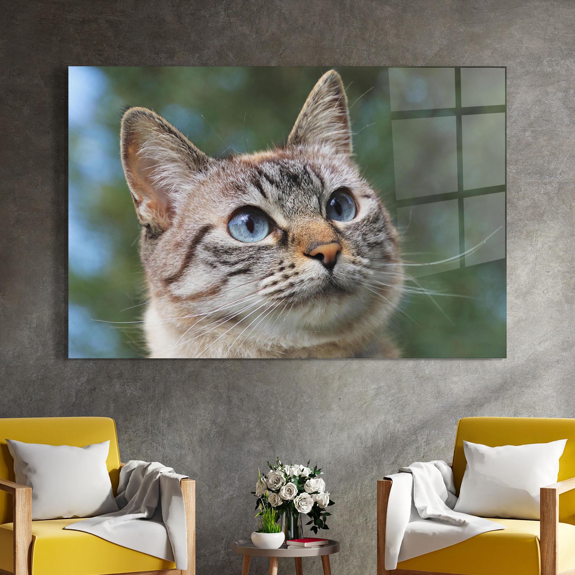 Obraz na Szkle Blue Eyes Cutie mockup 4