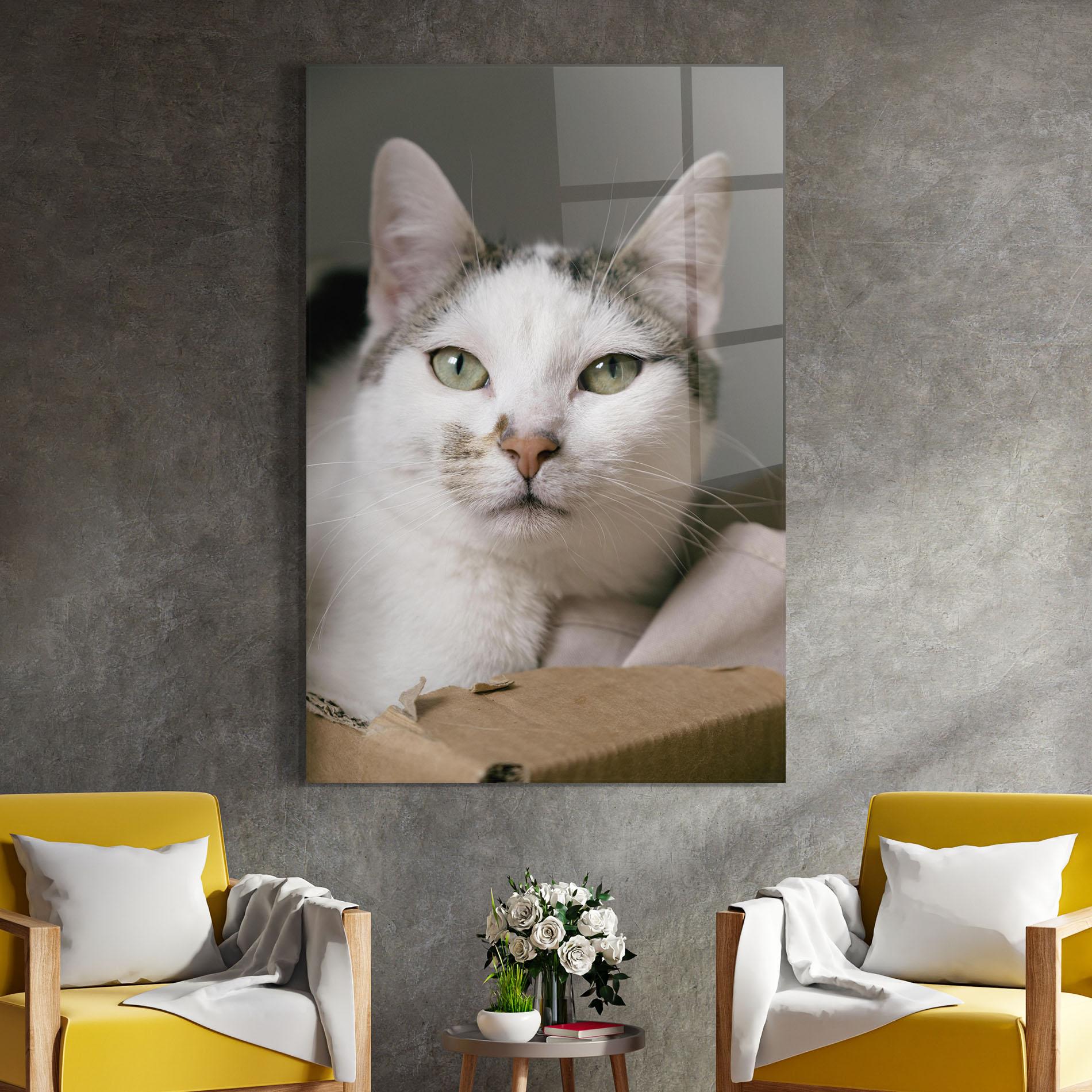 Obraz na Szkle Big Sleepy Cat mockup 4