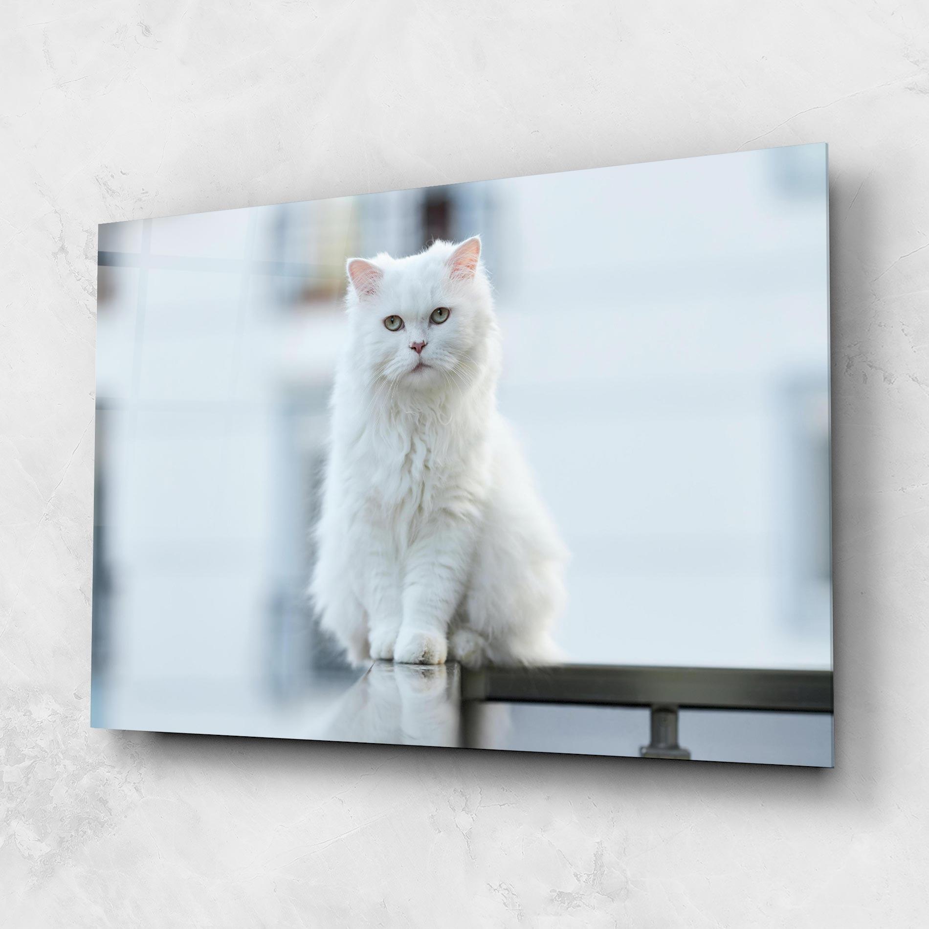Obraz na Szkle Big White Cat mockup 1