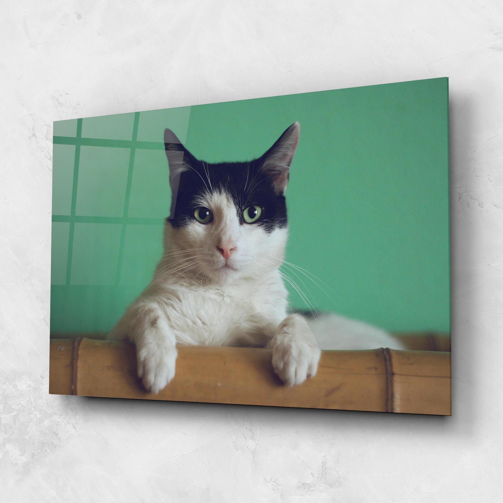 Obraz na Szkle Black White Cat mockup 1