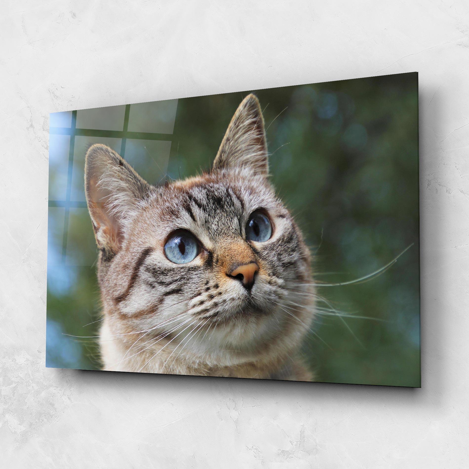 Obraz na Szkle Blue Eyes Cutie mockup 1