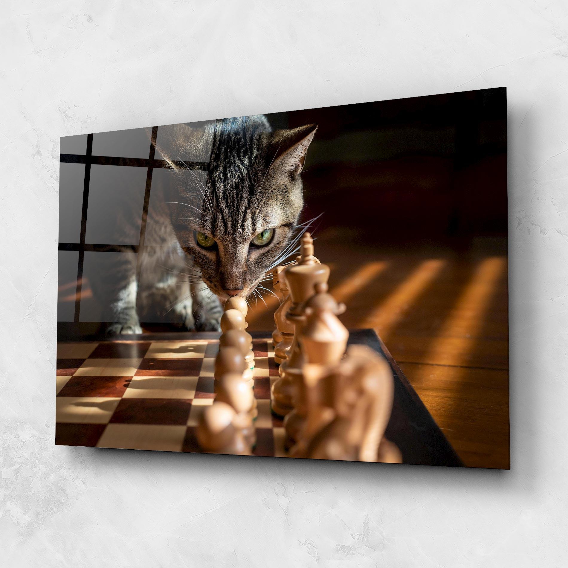 Obraz na Szkle Chess Cat mockup 1