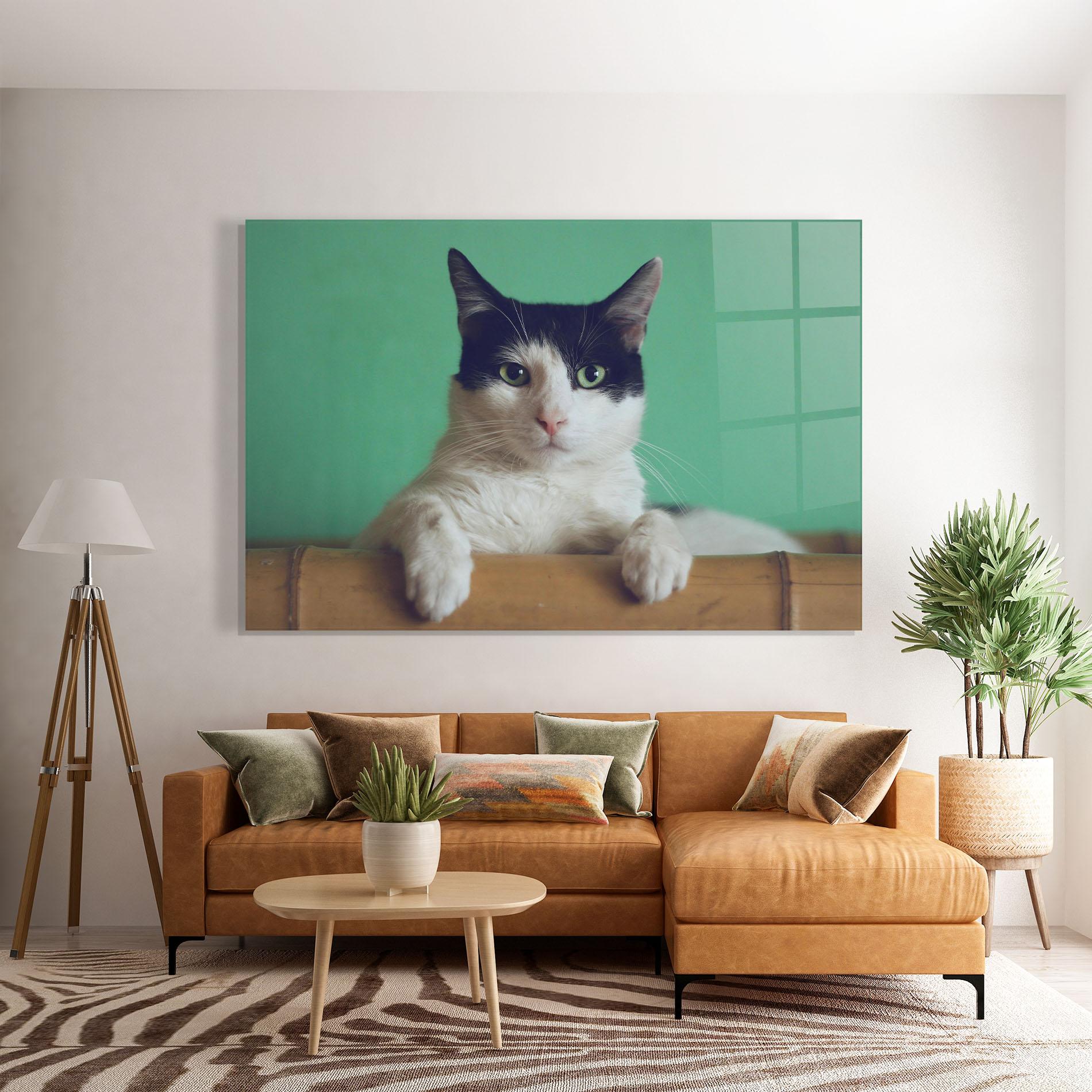 Obraz na Szkle Black White Cat mockup 7