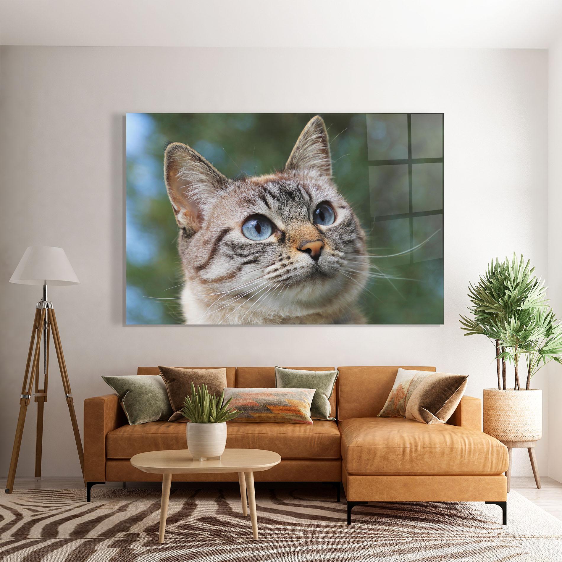 Obraz na Szkle Blue Eyes Cutie mockup 7