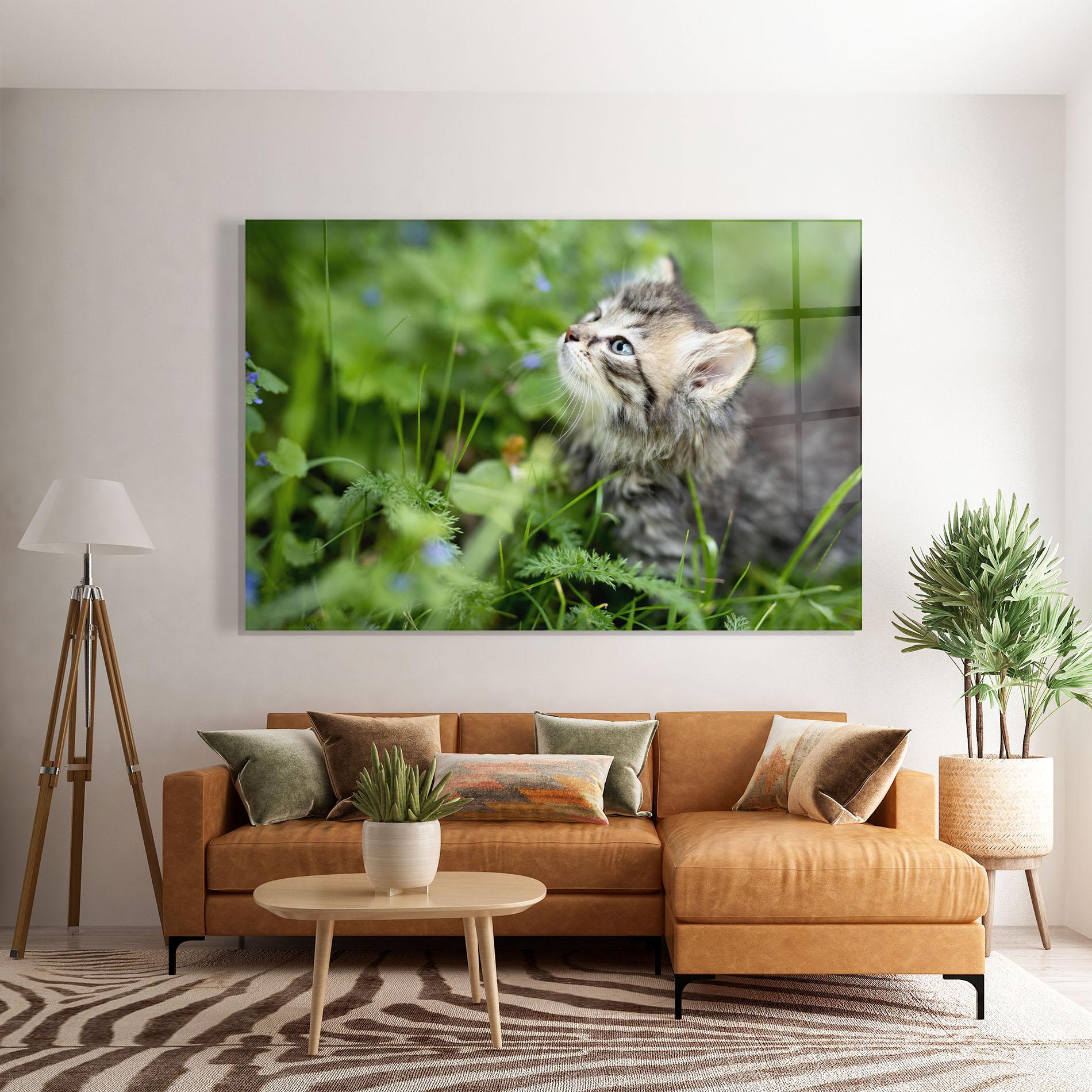 Obraz na Szkle Brown Baby Cat mockup 7