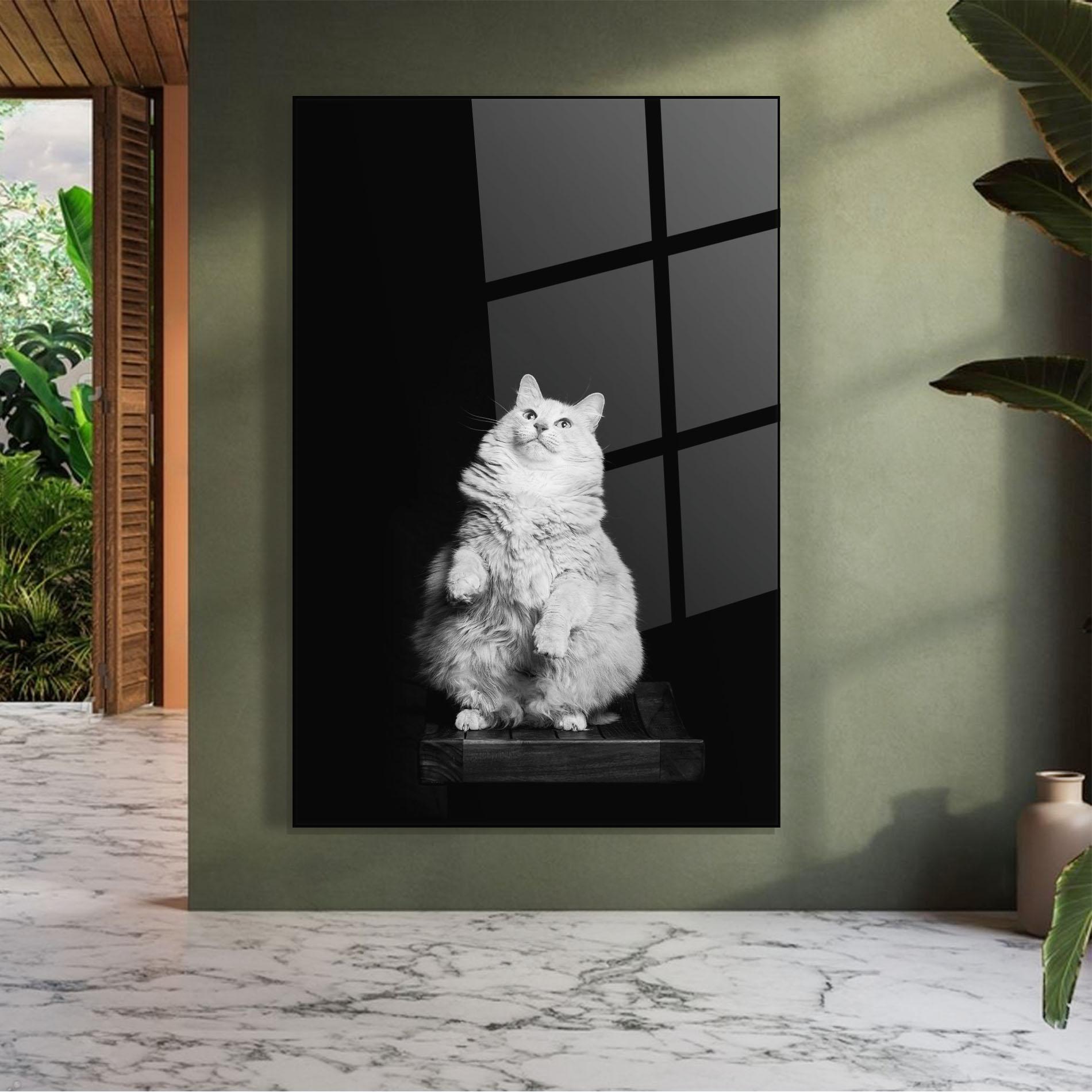 Obraz na Szkle Big Fluffy Cat mockup 7