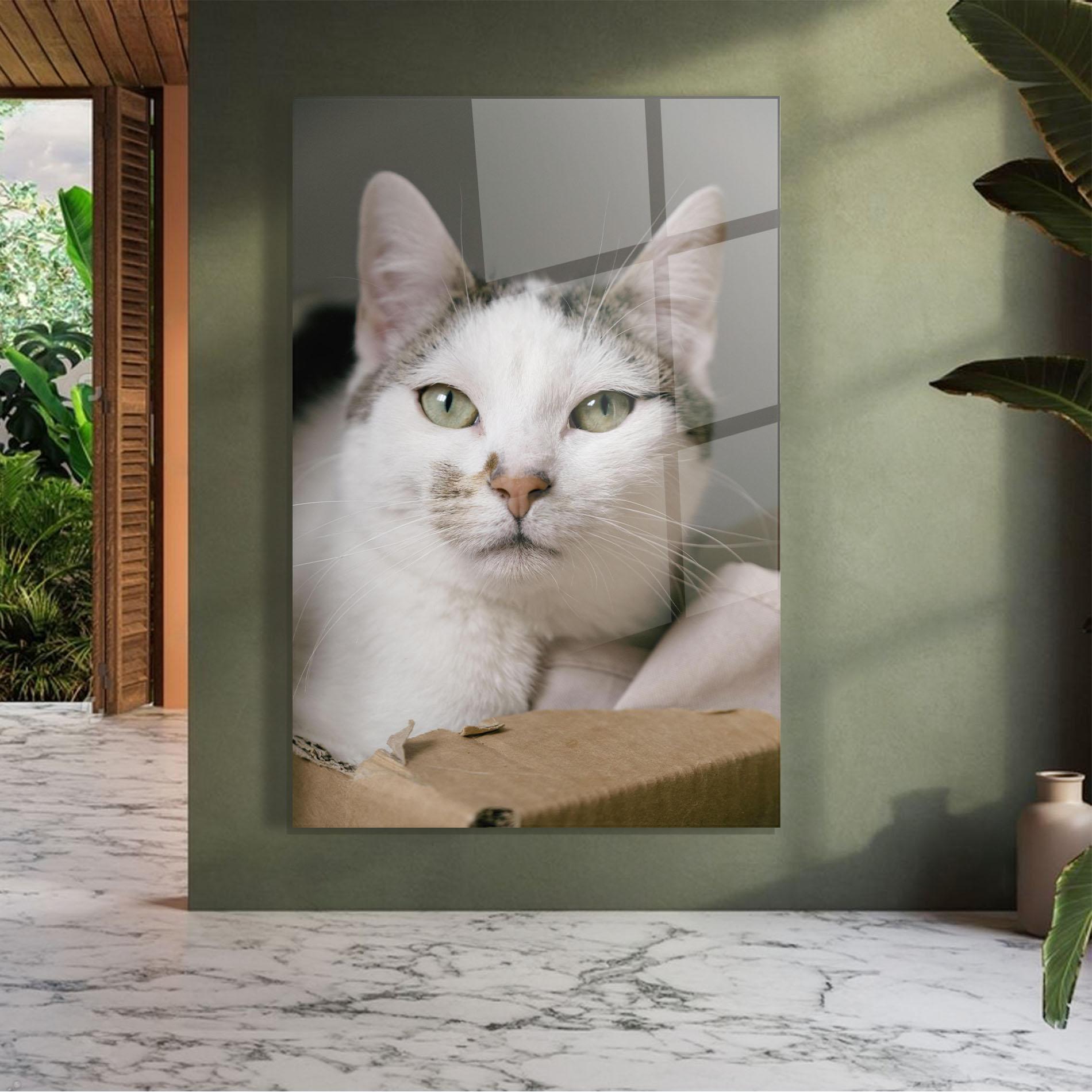 Obraz na Szkle Big Sleepy Cat mockup 7