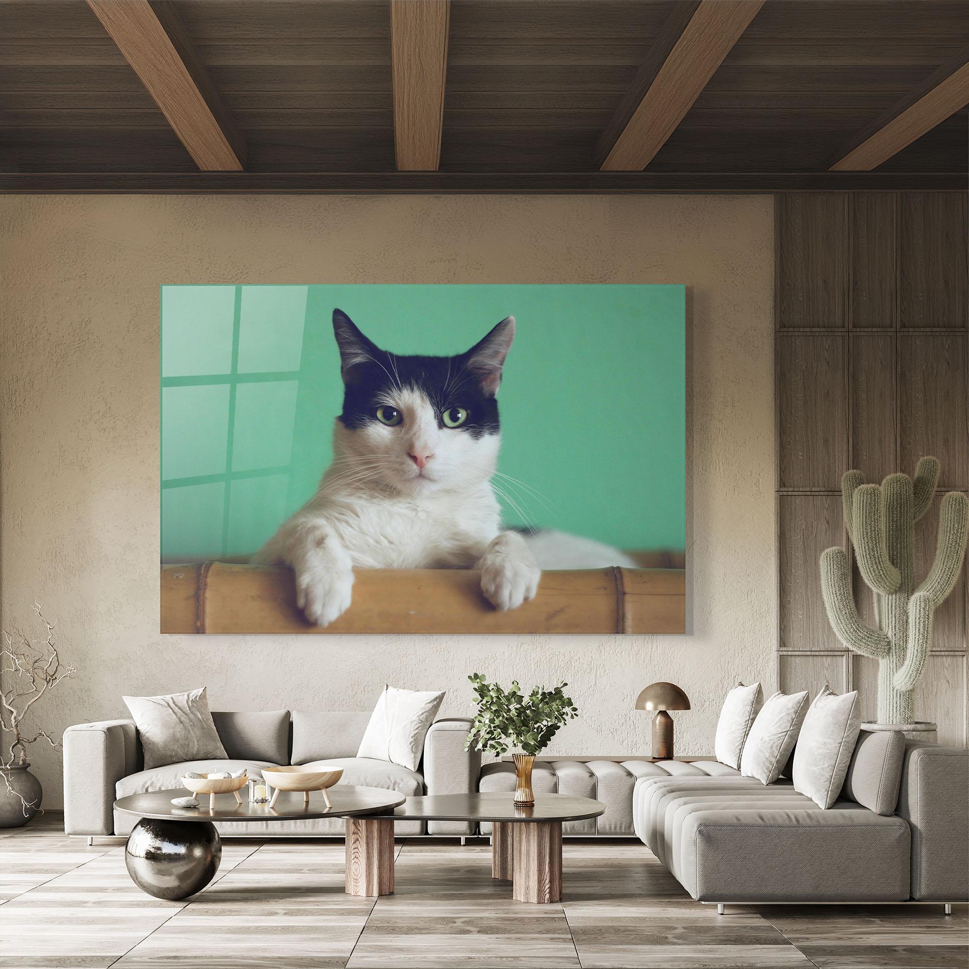 Obraz na Szkle Black White Cat mockup 8