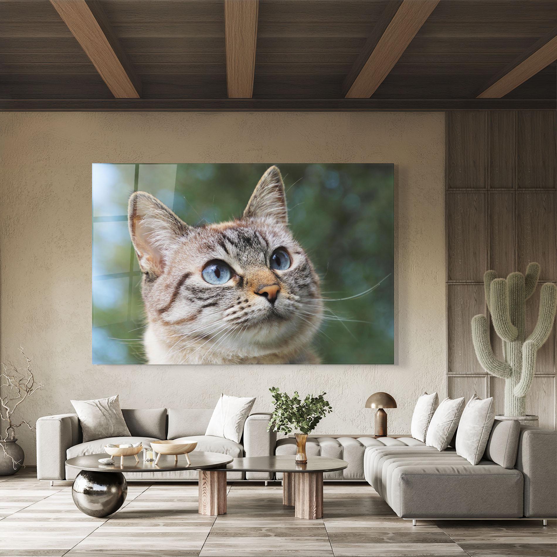 Obraz na Szkle Blue Eyes Cutie mockup 8