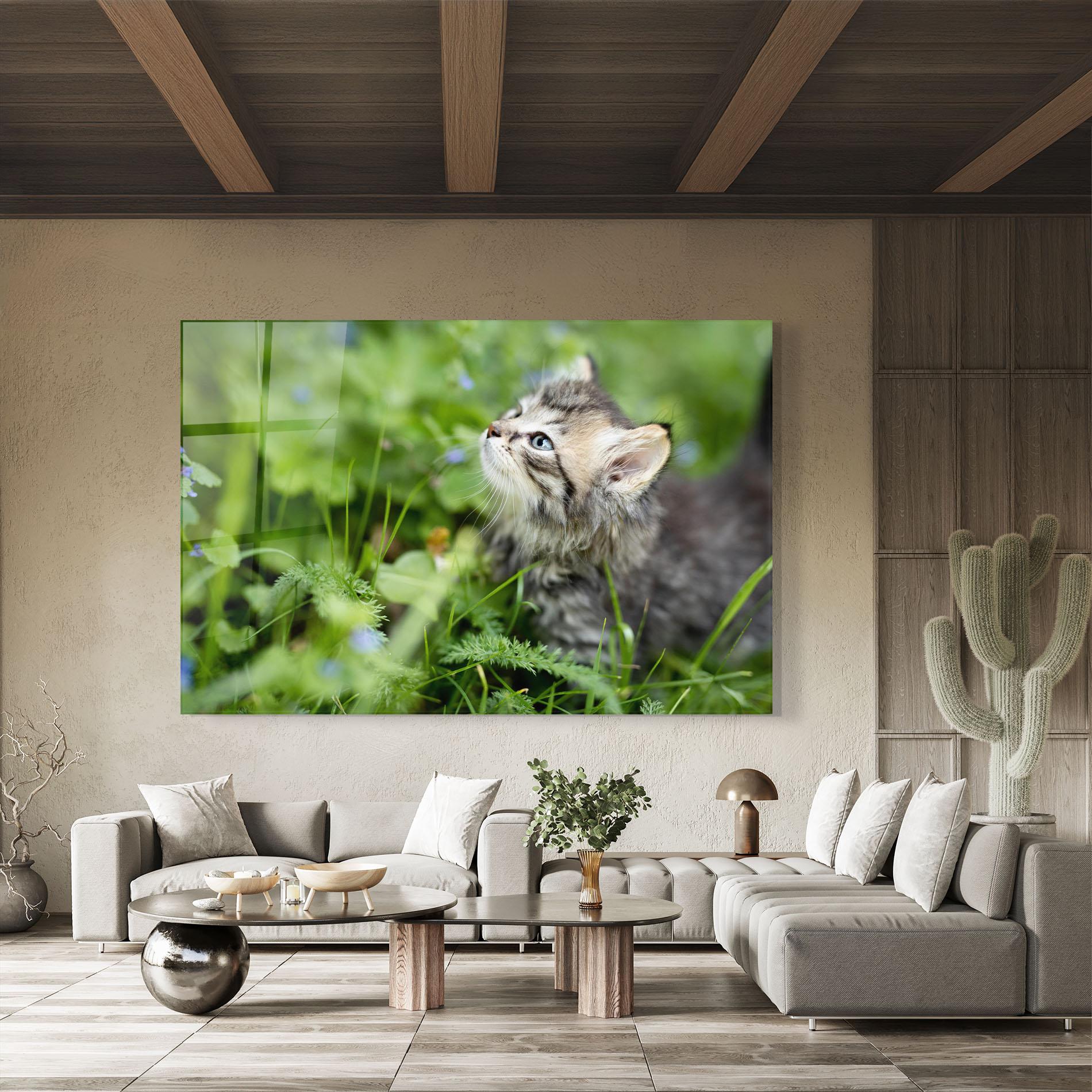 Obraz na Szkle Brown Baby Cat mockup 8