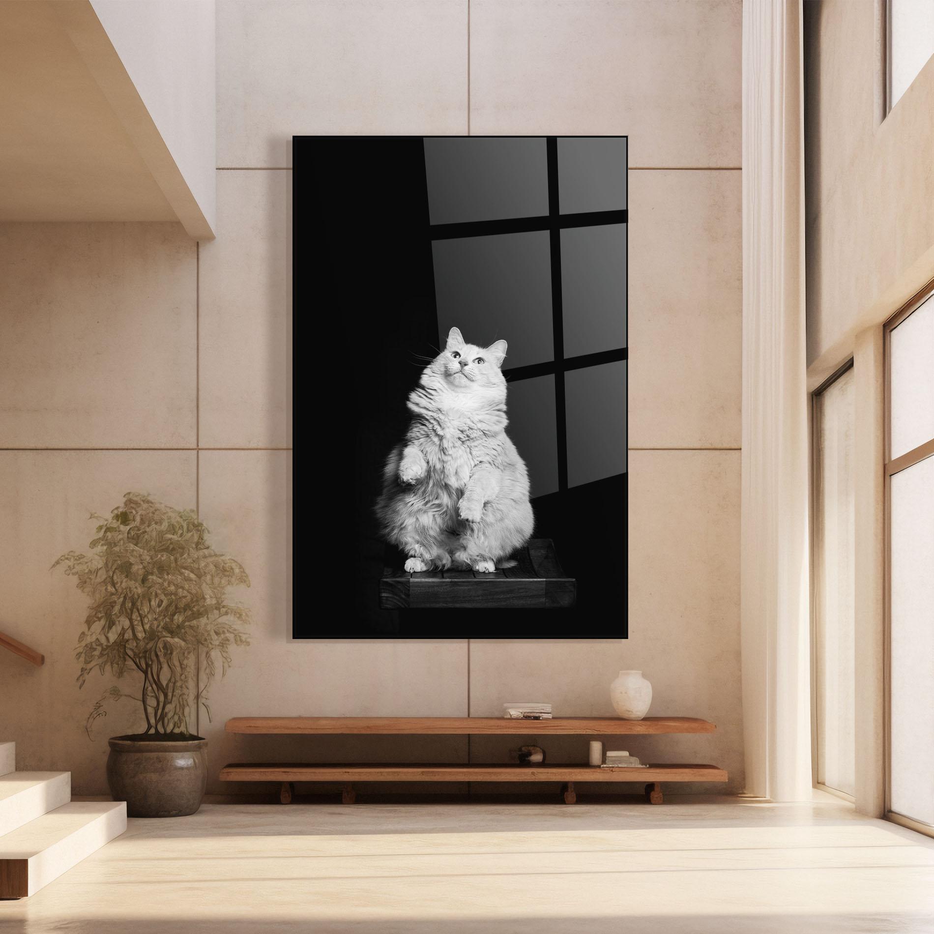 Obraz na Szkle Big Fluffy Cat mockup 8