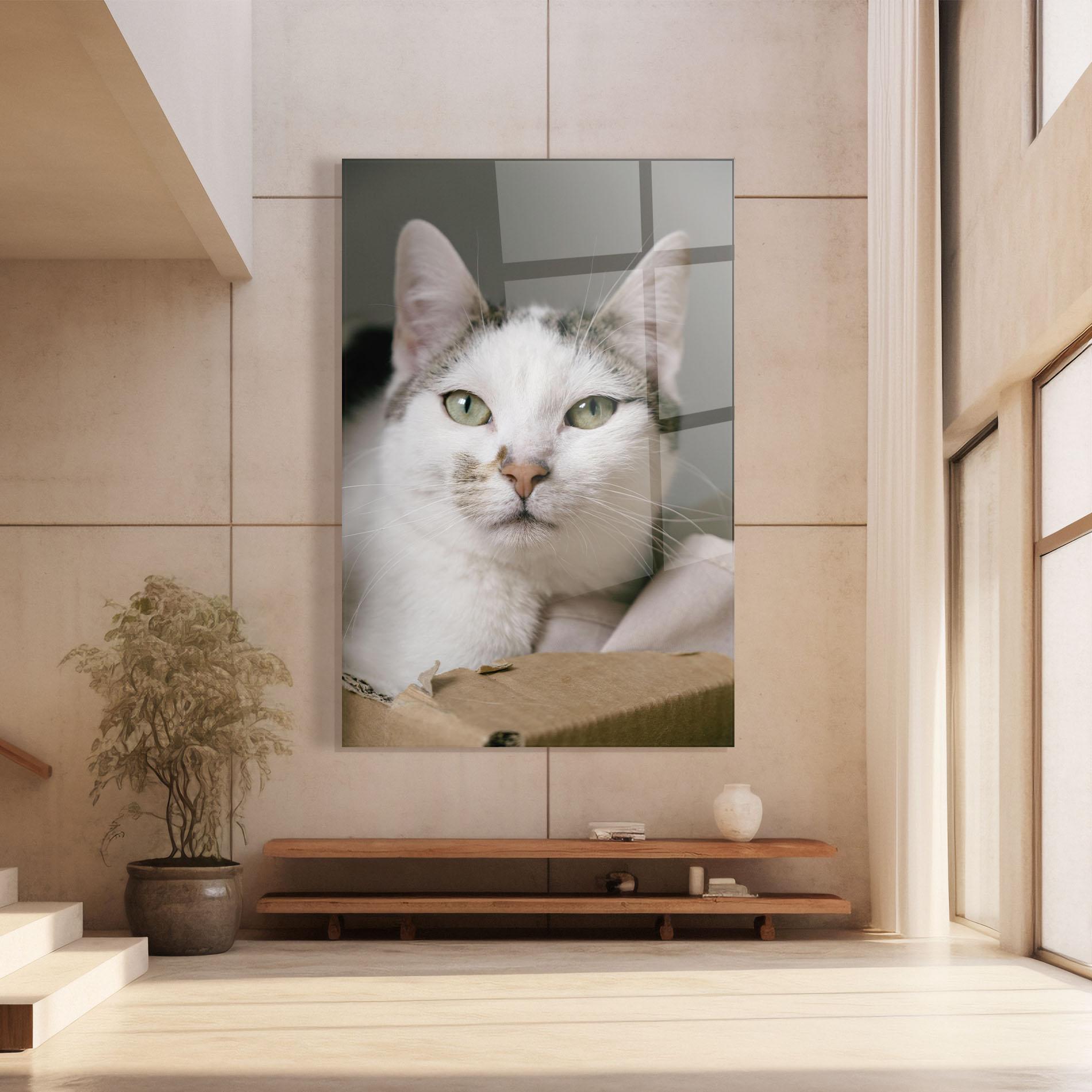 Obraz na Szkle Big Sleepy Cat mockup 8