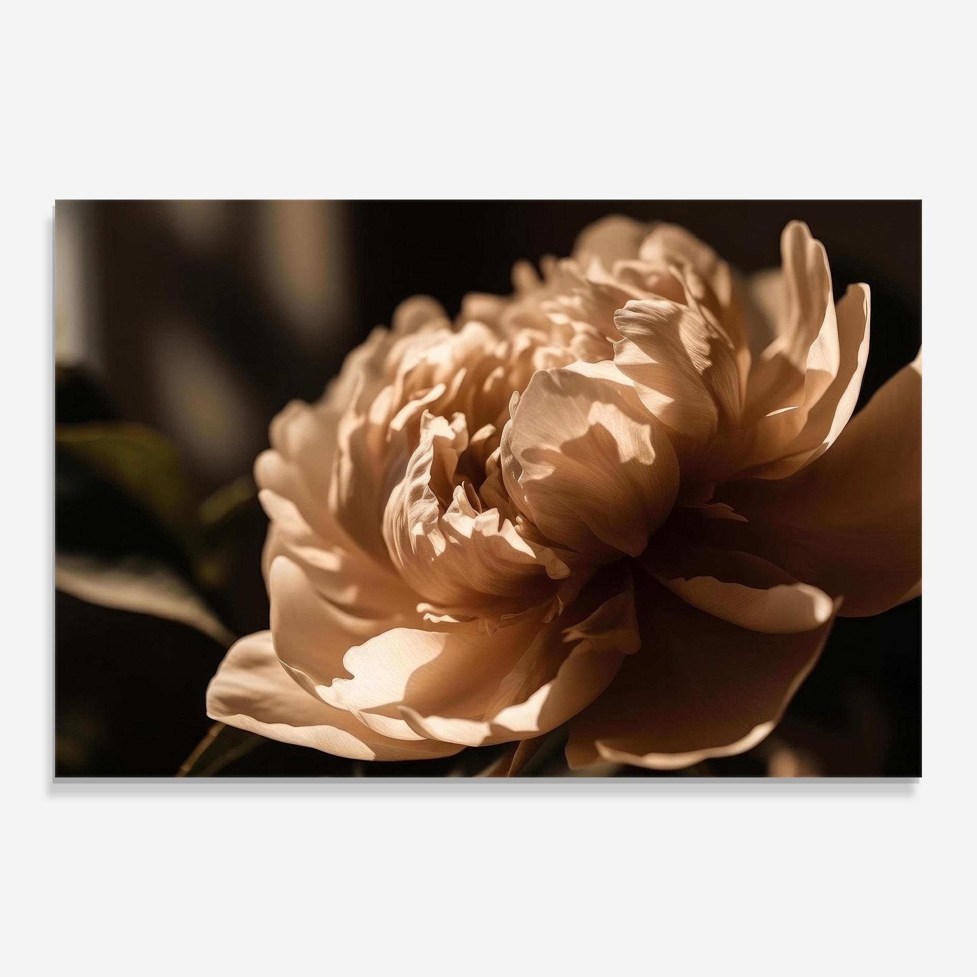 Obraz na Szkle Cream Peony mockup 0