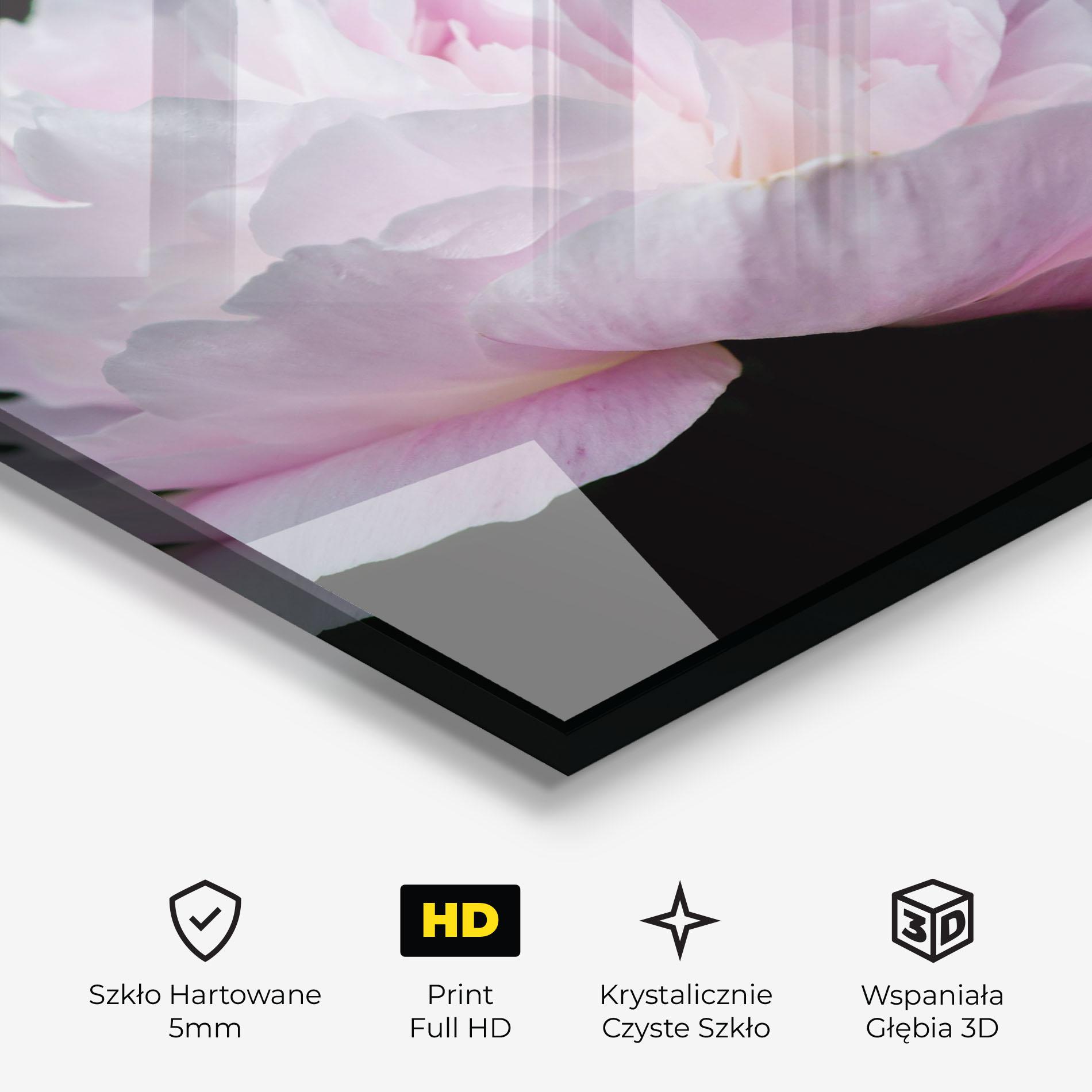 Obraz na Szkle Pastel Peony On Black mockup 3