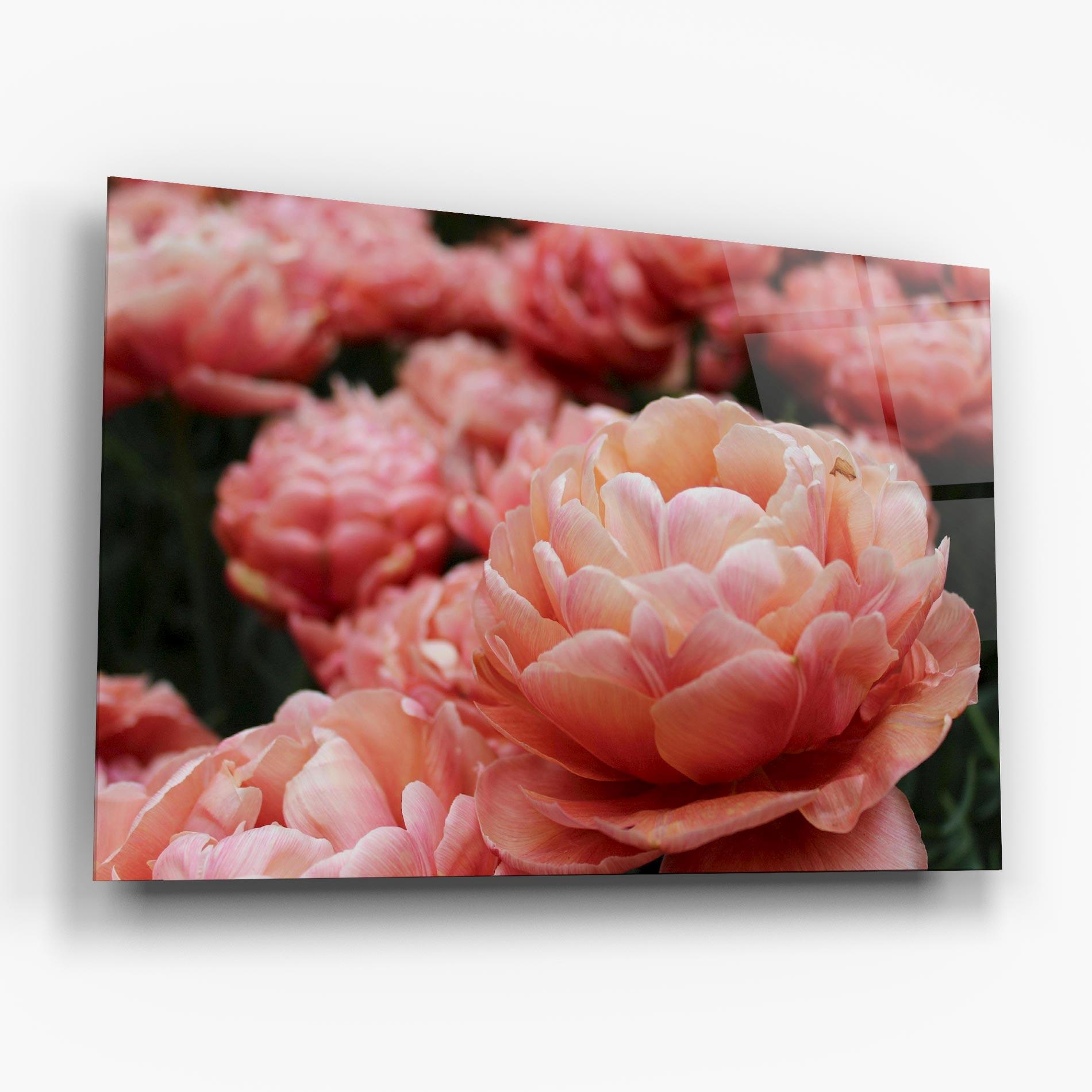 Obraz na Szkle Light Orange Peony mockup 6