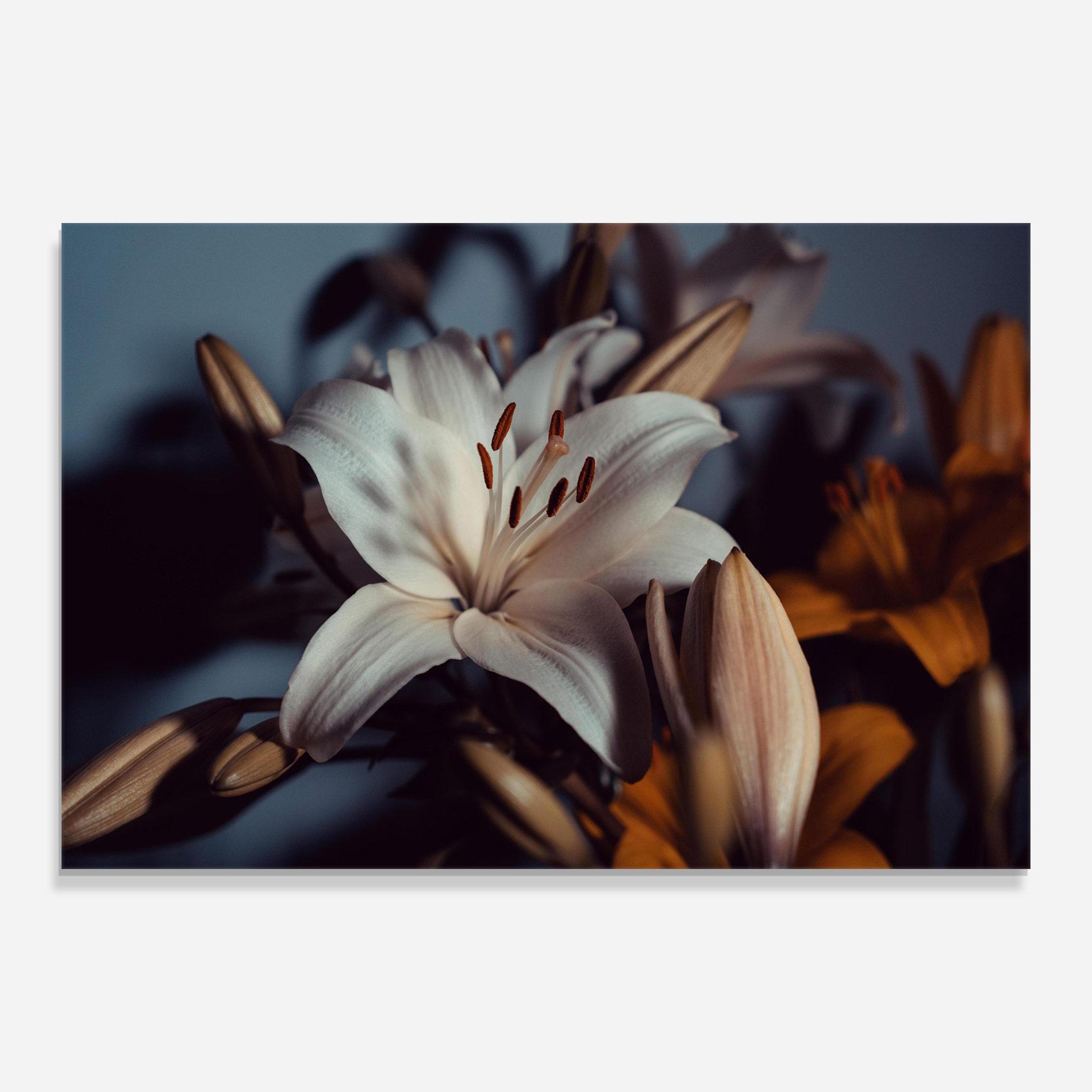 Obraz na Szkle Cream Lily mockup 0