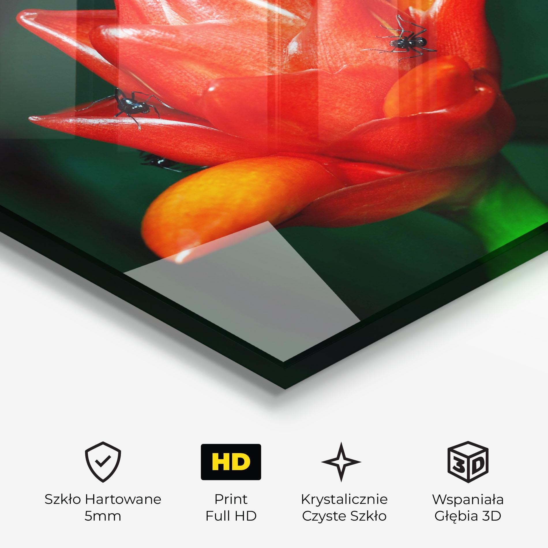 Obraz na Szkle Cool Orange Exotic mockup 3