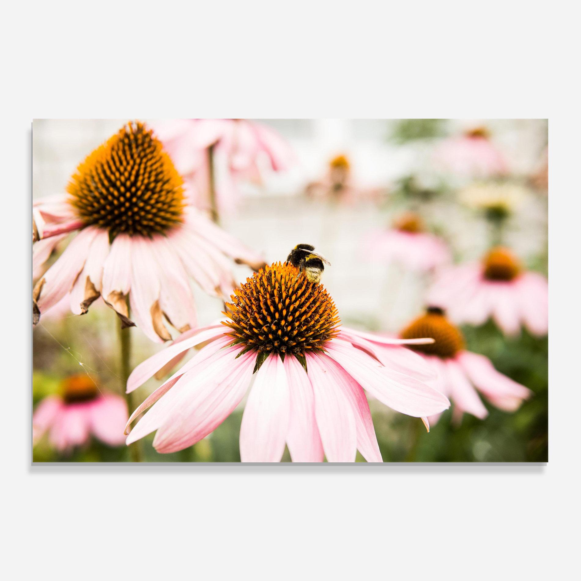 Obraz na Szkle Daylight Flower mockup 0