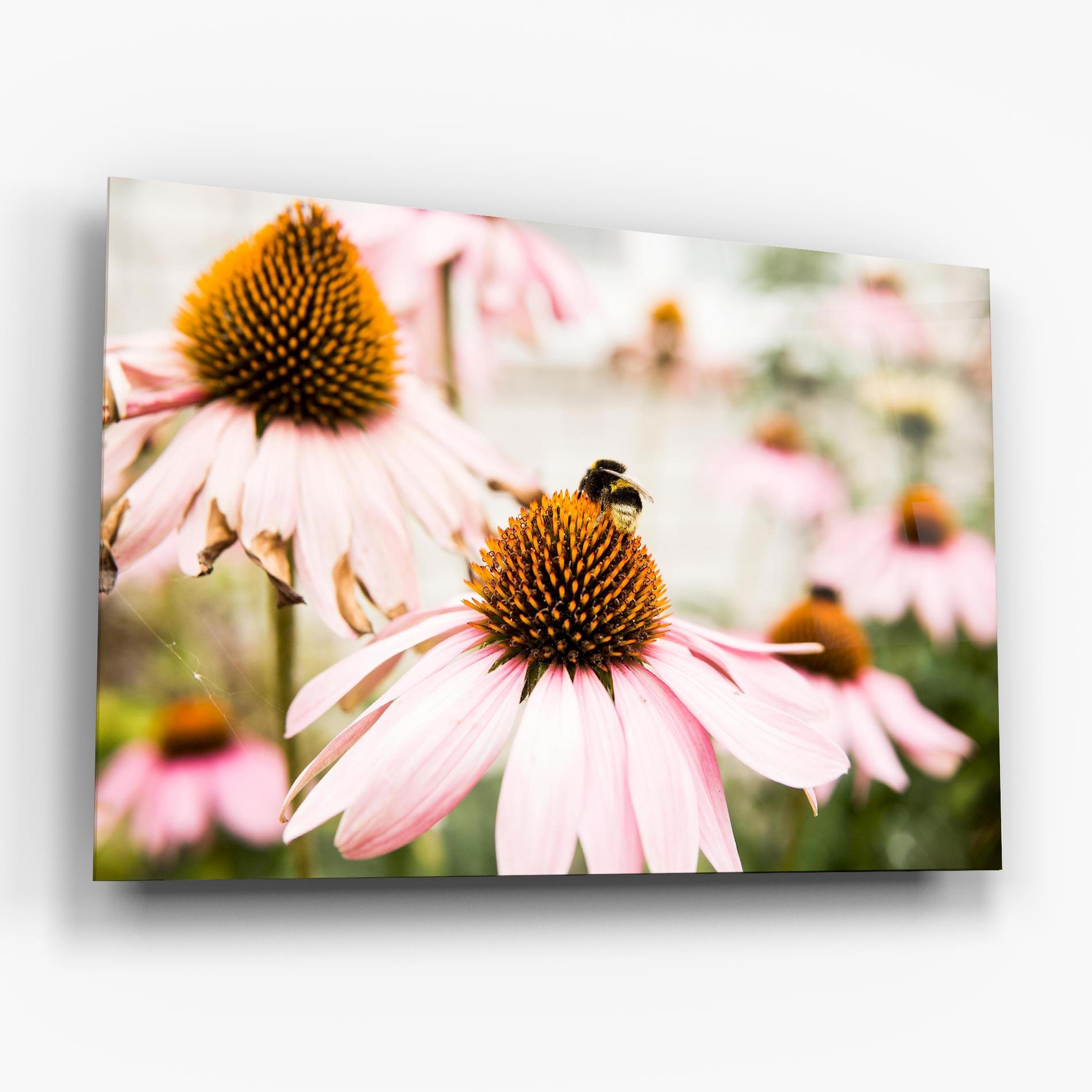 Obraz na Szkle Daylight Flower mockup 6