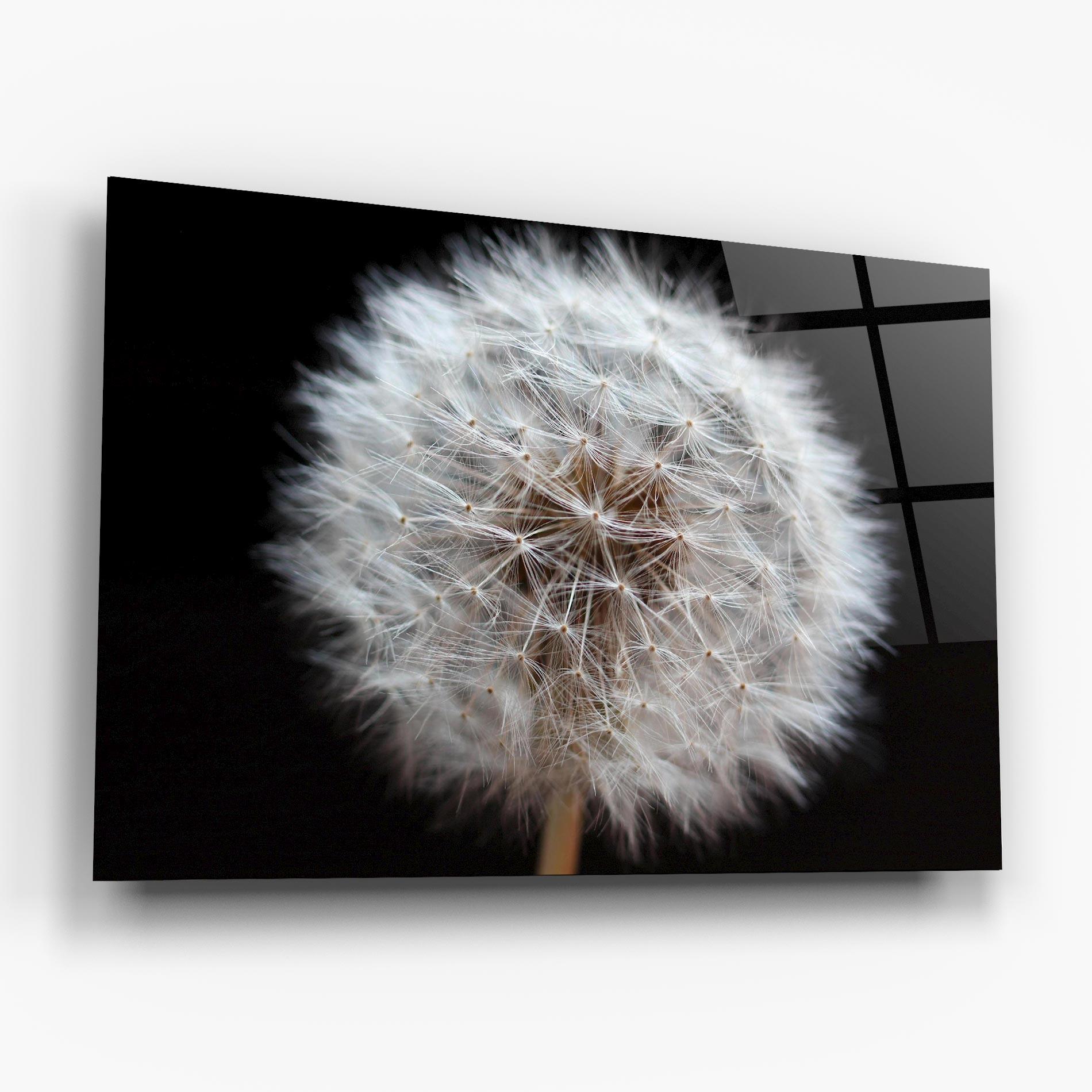Obraz na Szkle Wild Dandelion Closeup mockup 6