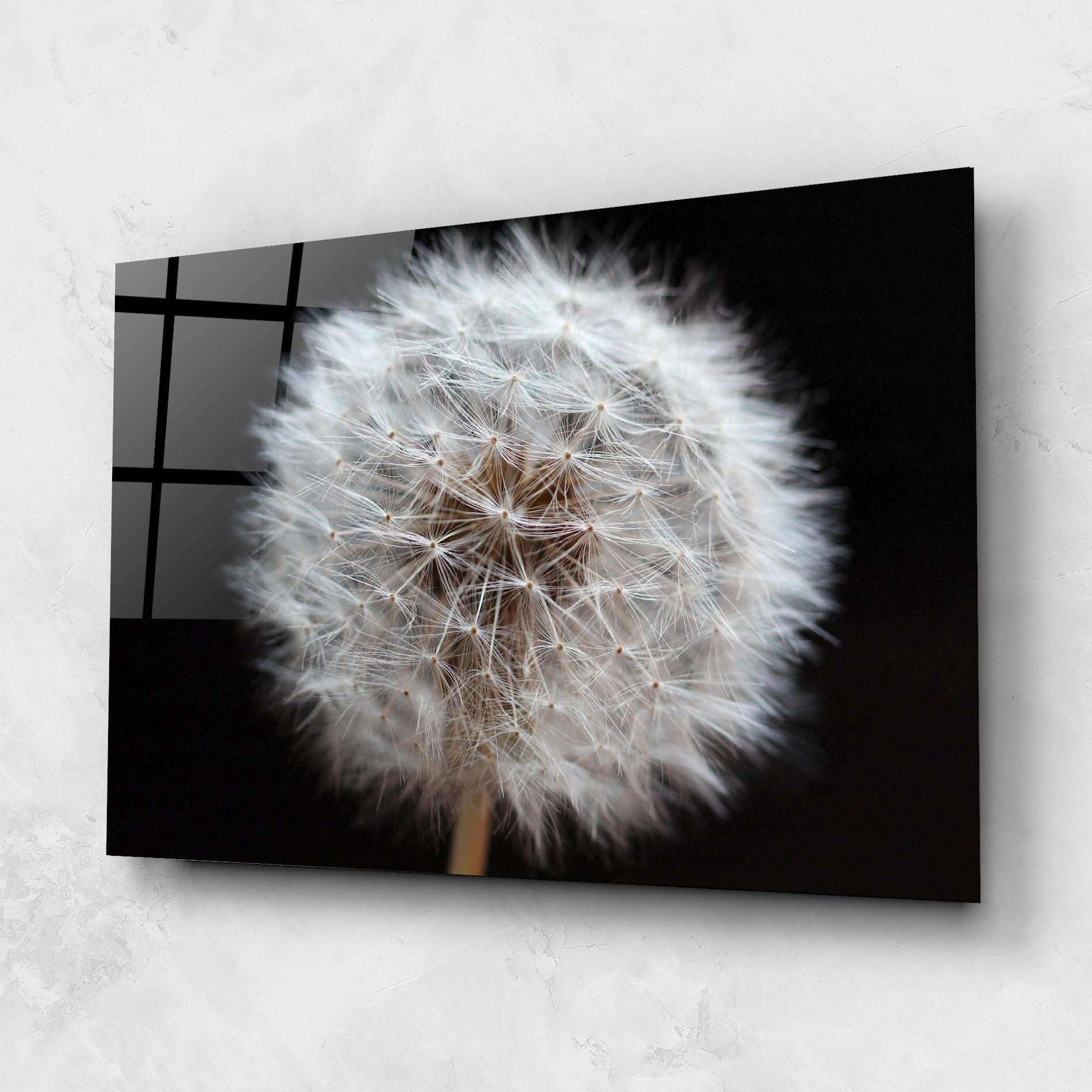 Obraz na Szkle Wild Dandelion Closeup mockup 1