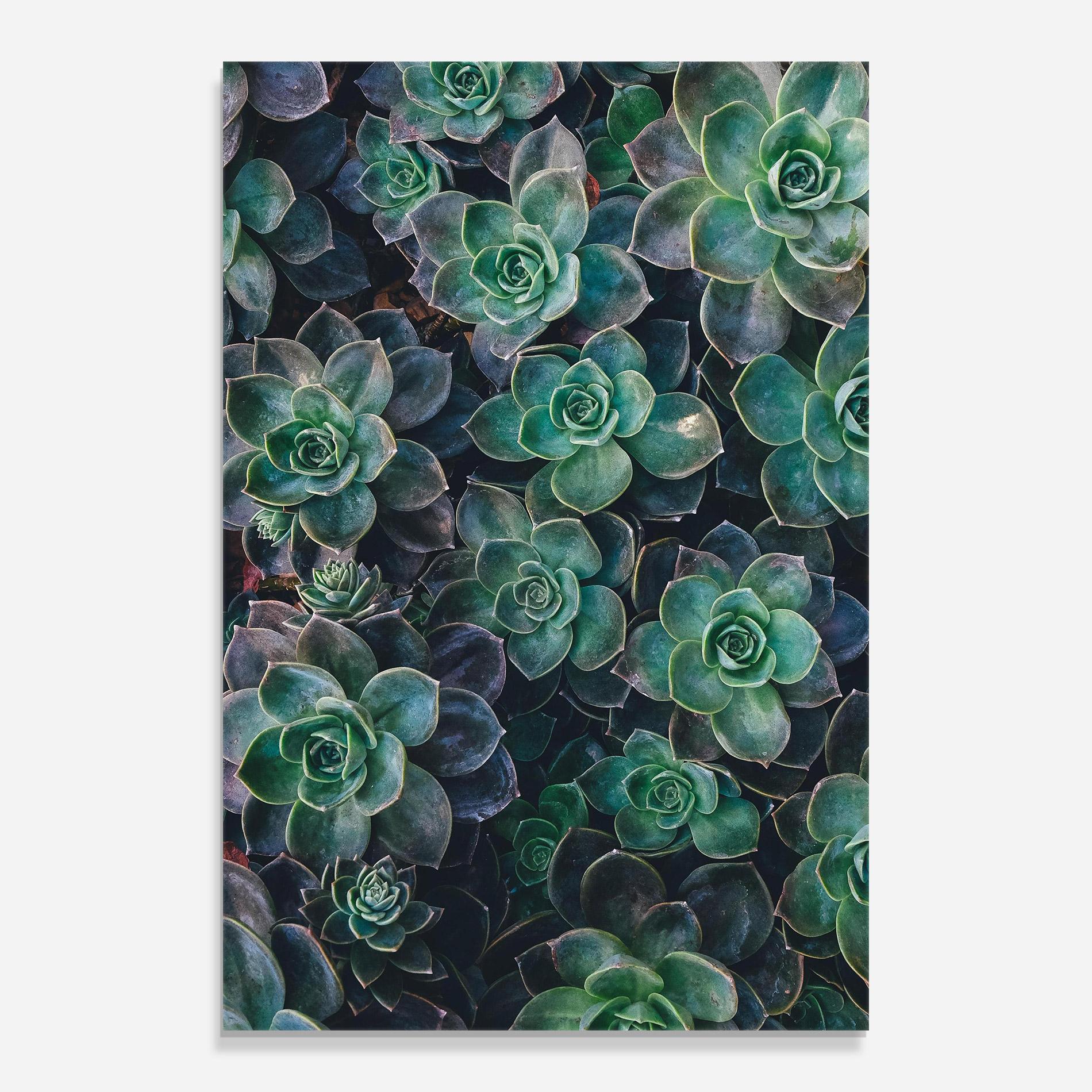 Obraz na Szkle Green Lilac Tree mockup 0