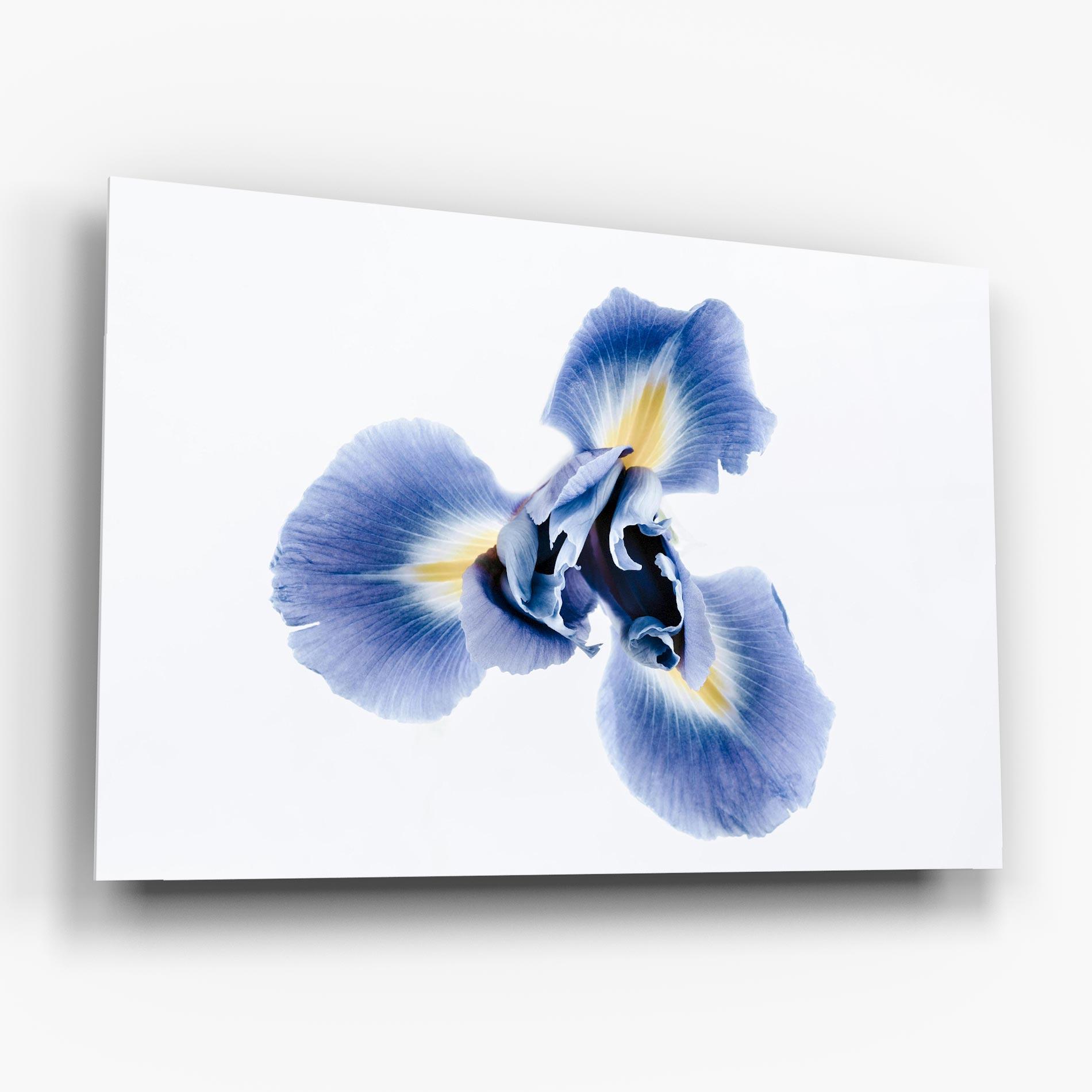 Obraz na Szkle Iris Flower mockup 6