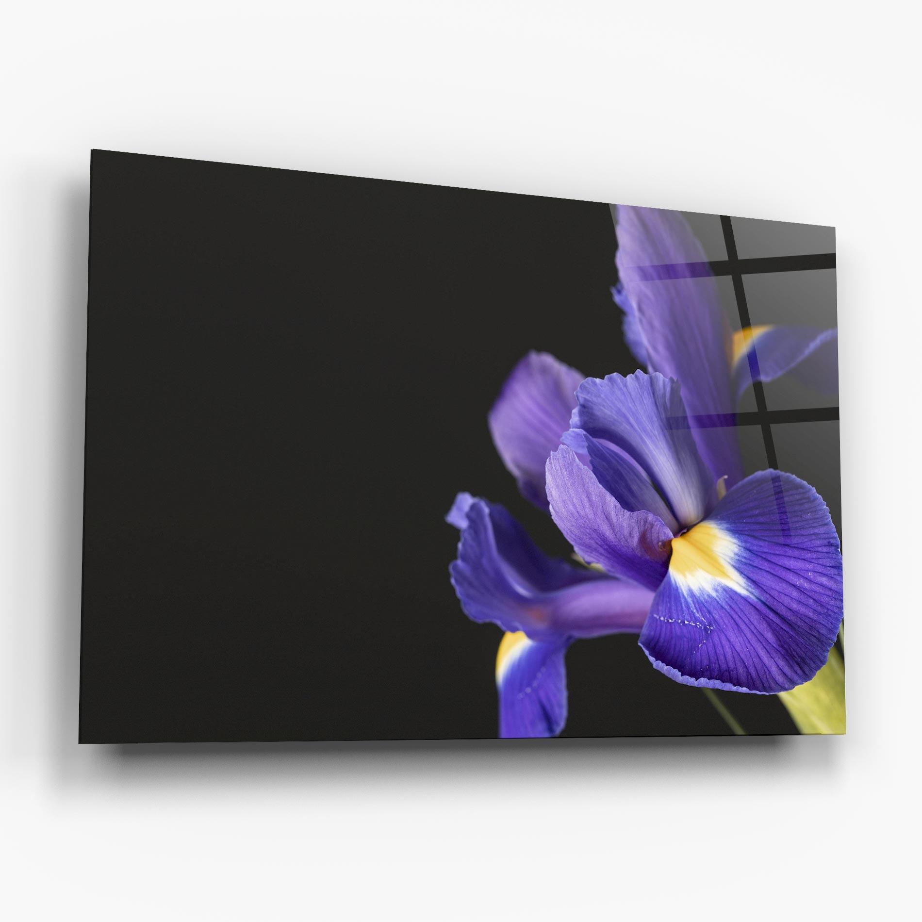 Obraz na Szkle Iris On Black mockup 6