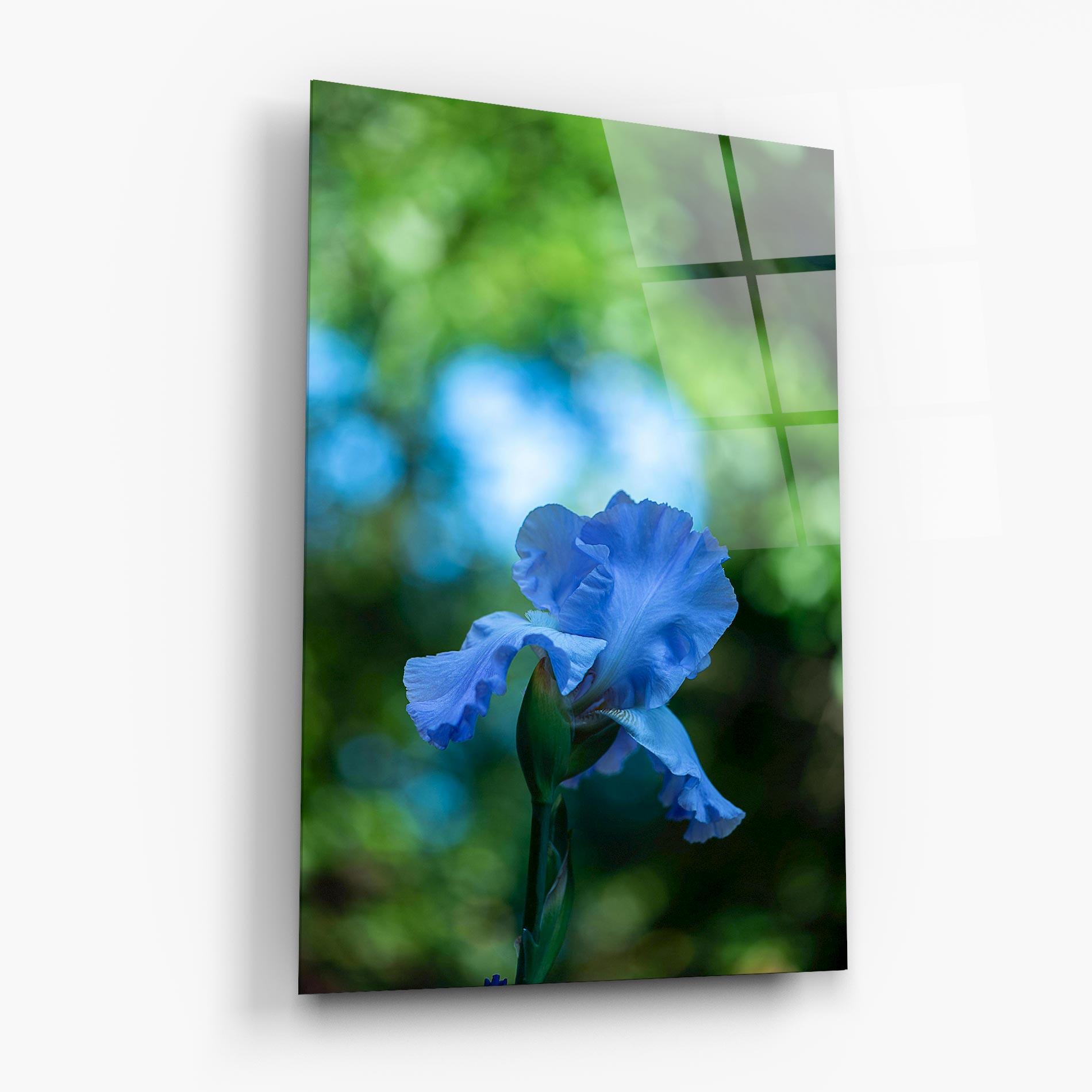 Obraz na Szkle Blue Iris In The Garden mockup 6