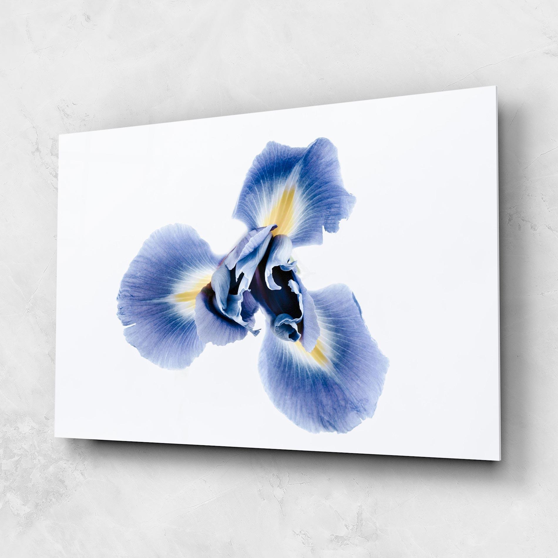 Obraz na Szkle Iris Flower mockup 1