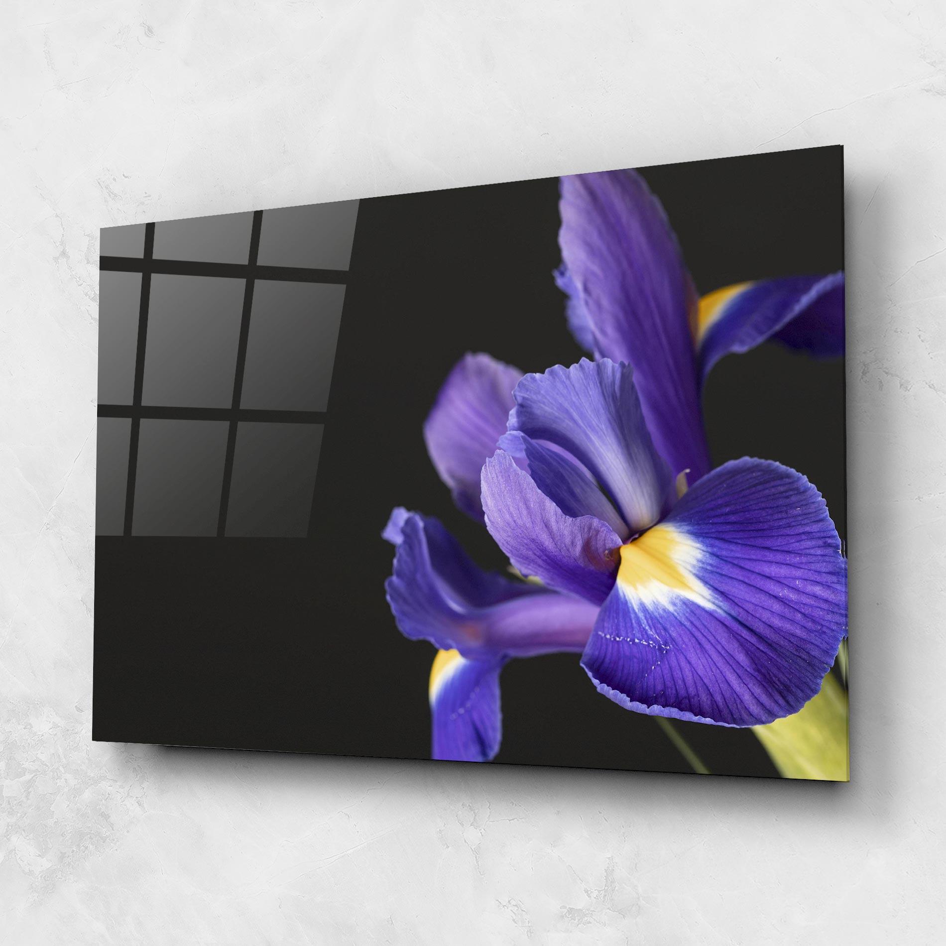 Obraz na Szkle Iris On Black mockup 1