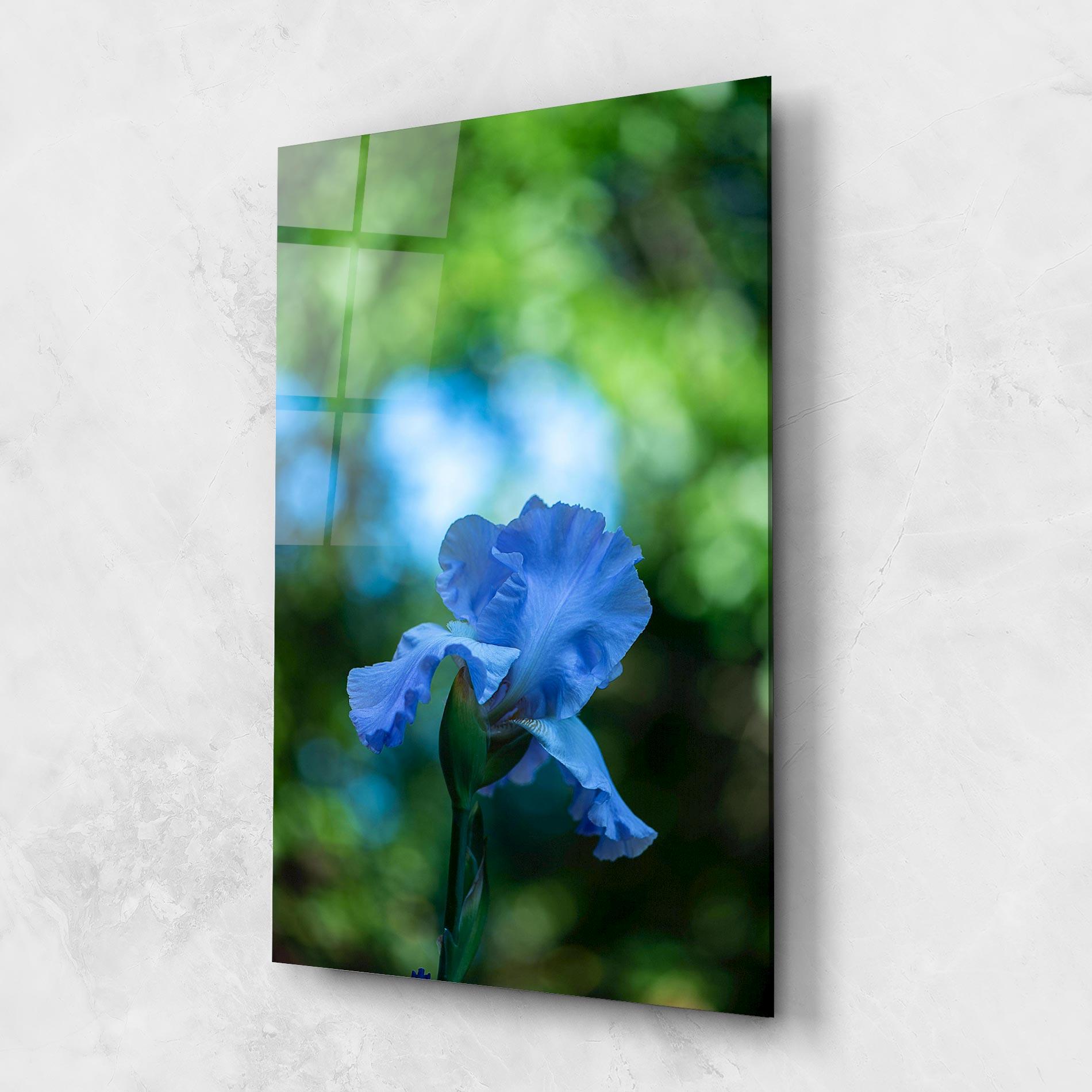 Obraz na Szkle Blue Iris In The Garden mockup 1