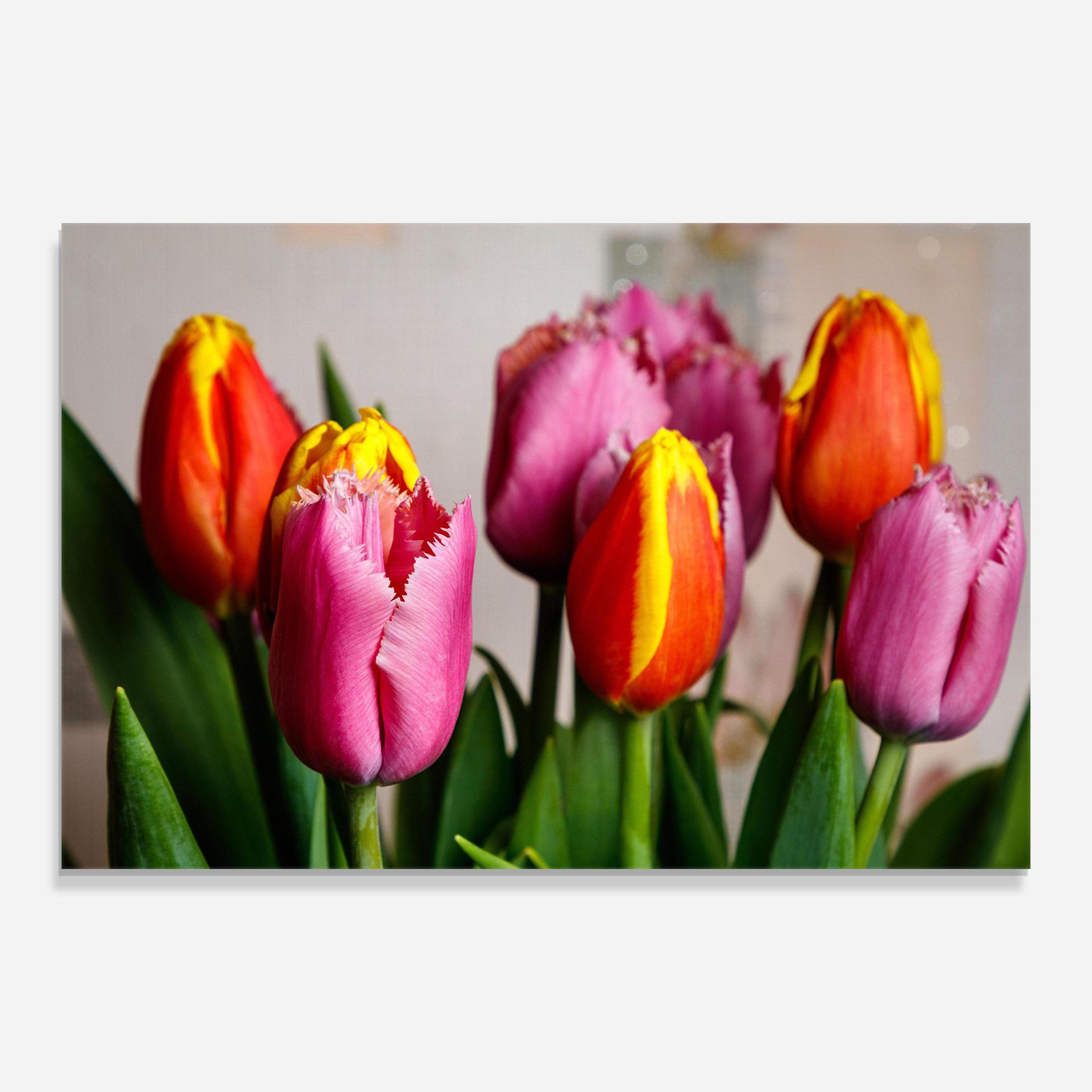 Obraz na Szkle Pink Orange Tulips mockup 0