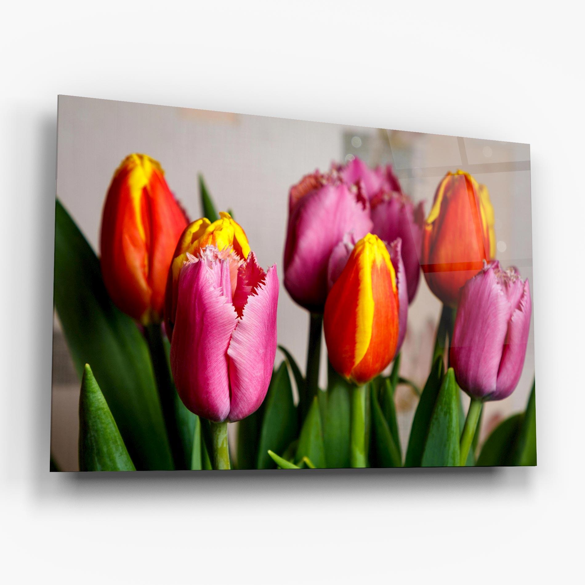 Obraz na Szkle Pink Orange Tulips mockup 6