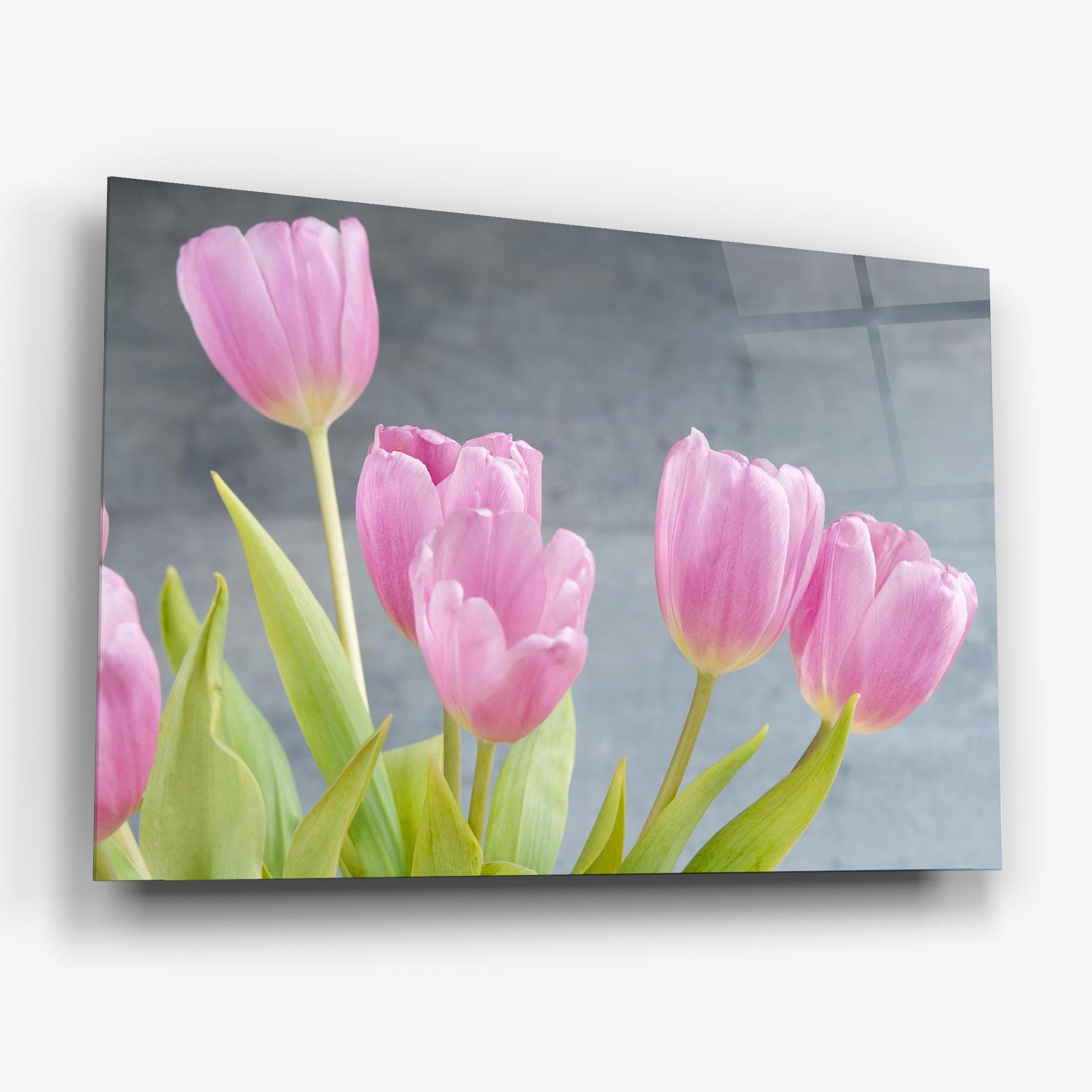 Obraz na Szkle Pink Pastel Tulip On Grey mockup 6