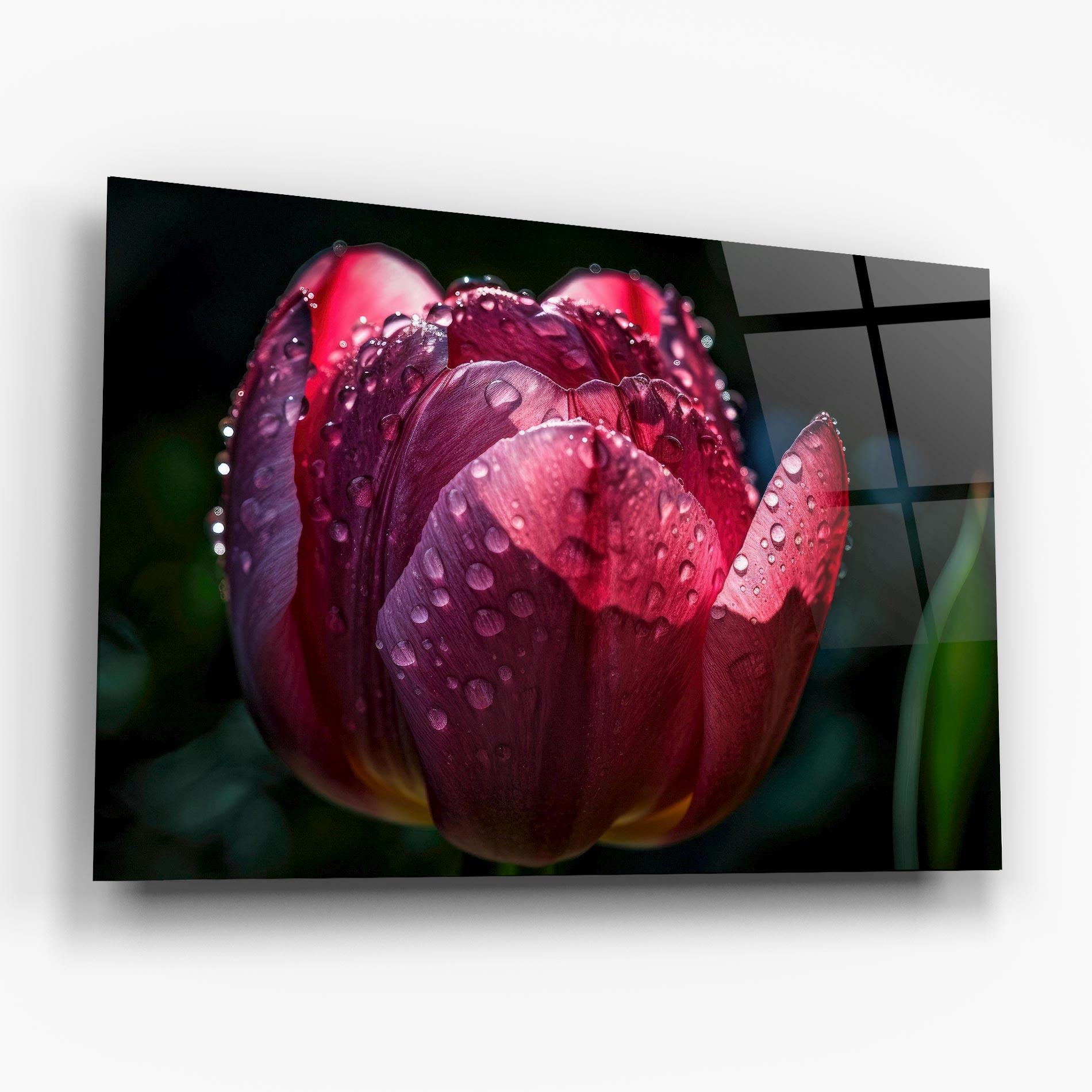 Obraz na Szkle Pink Tulip After Rain mockup 6