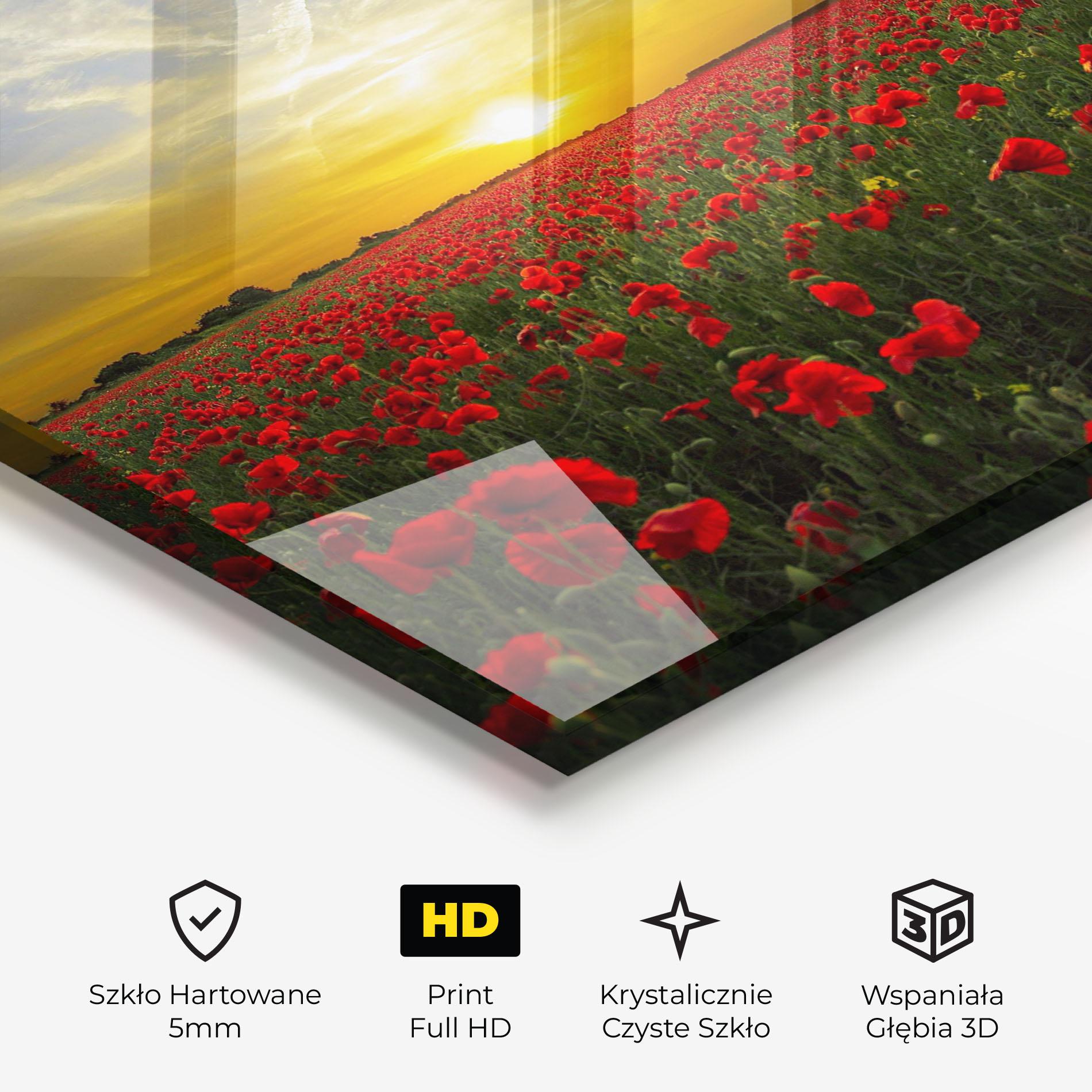 Obraz na Szkle Poppies Sunset mockup 3