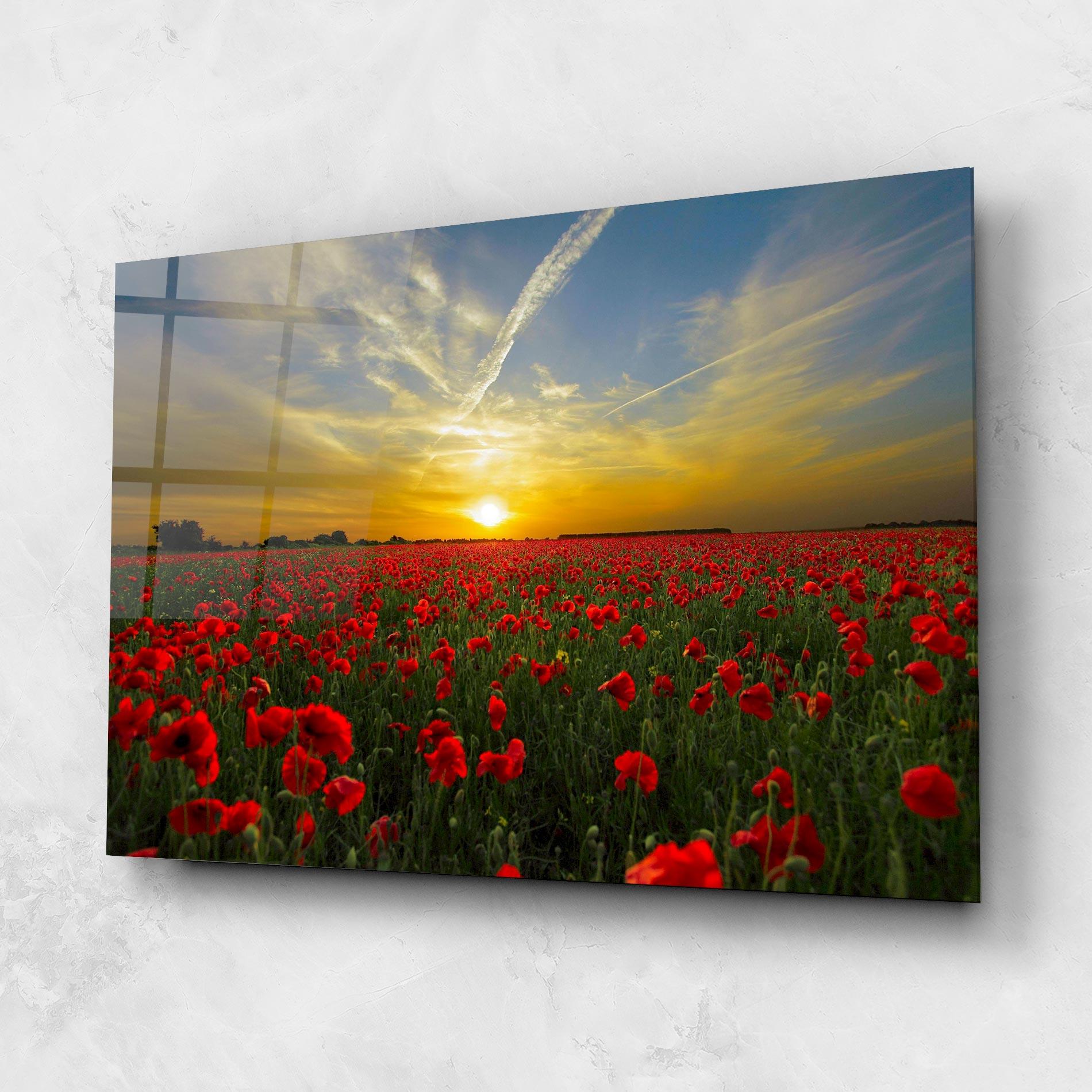 Obraz na Szkle Poppies Sunset mockup 1
