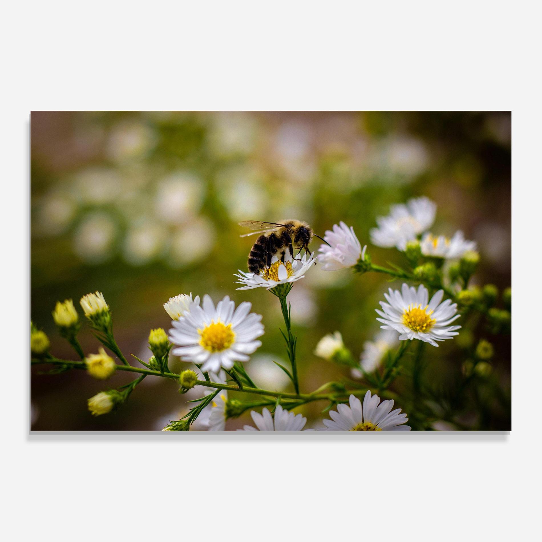 Obraz na Szkle Bee On Small Flower mockup 0